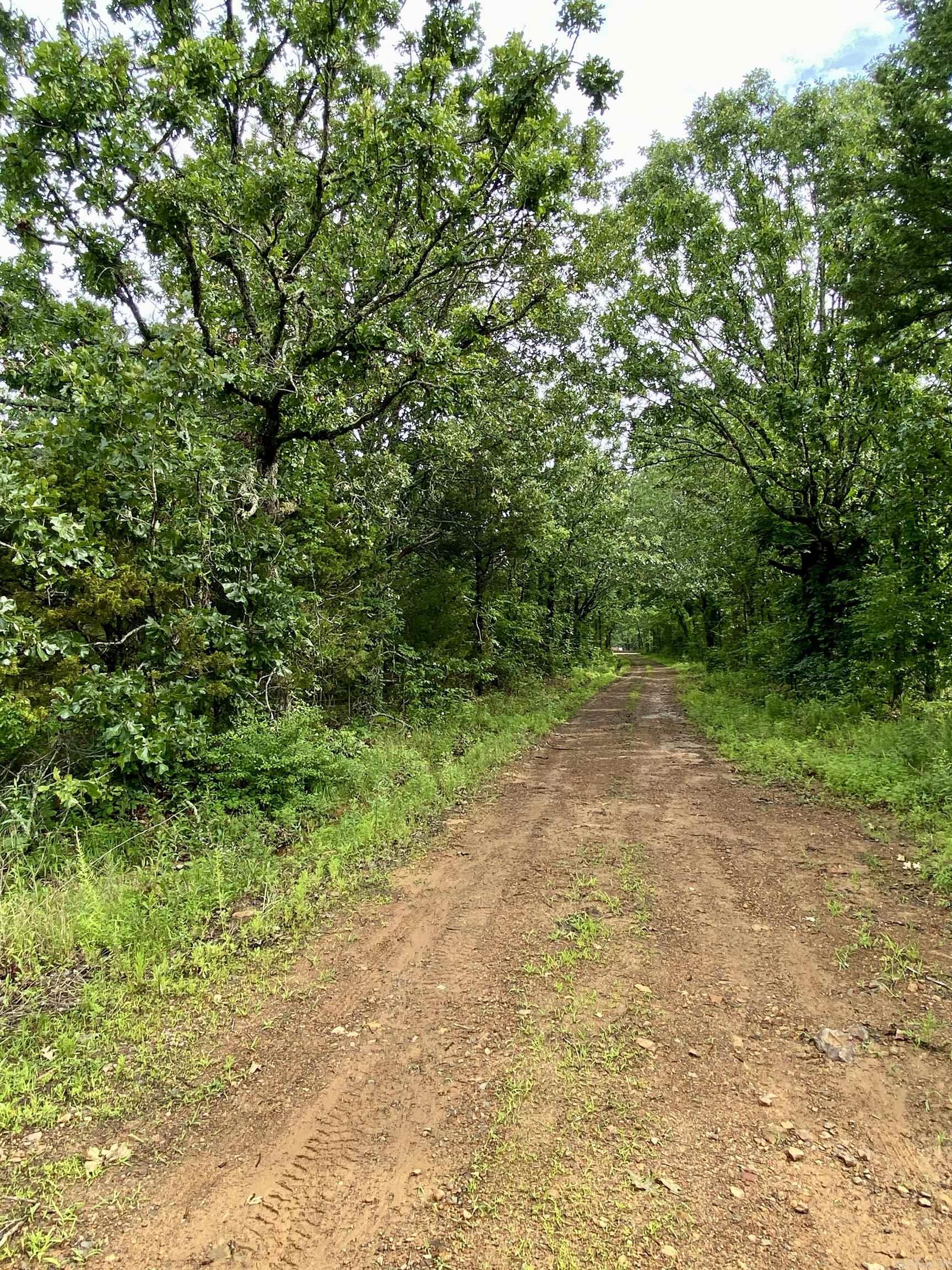 1296 County Road 4015  Ozark, AR