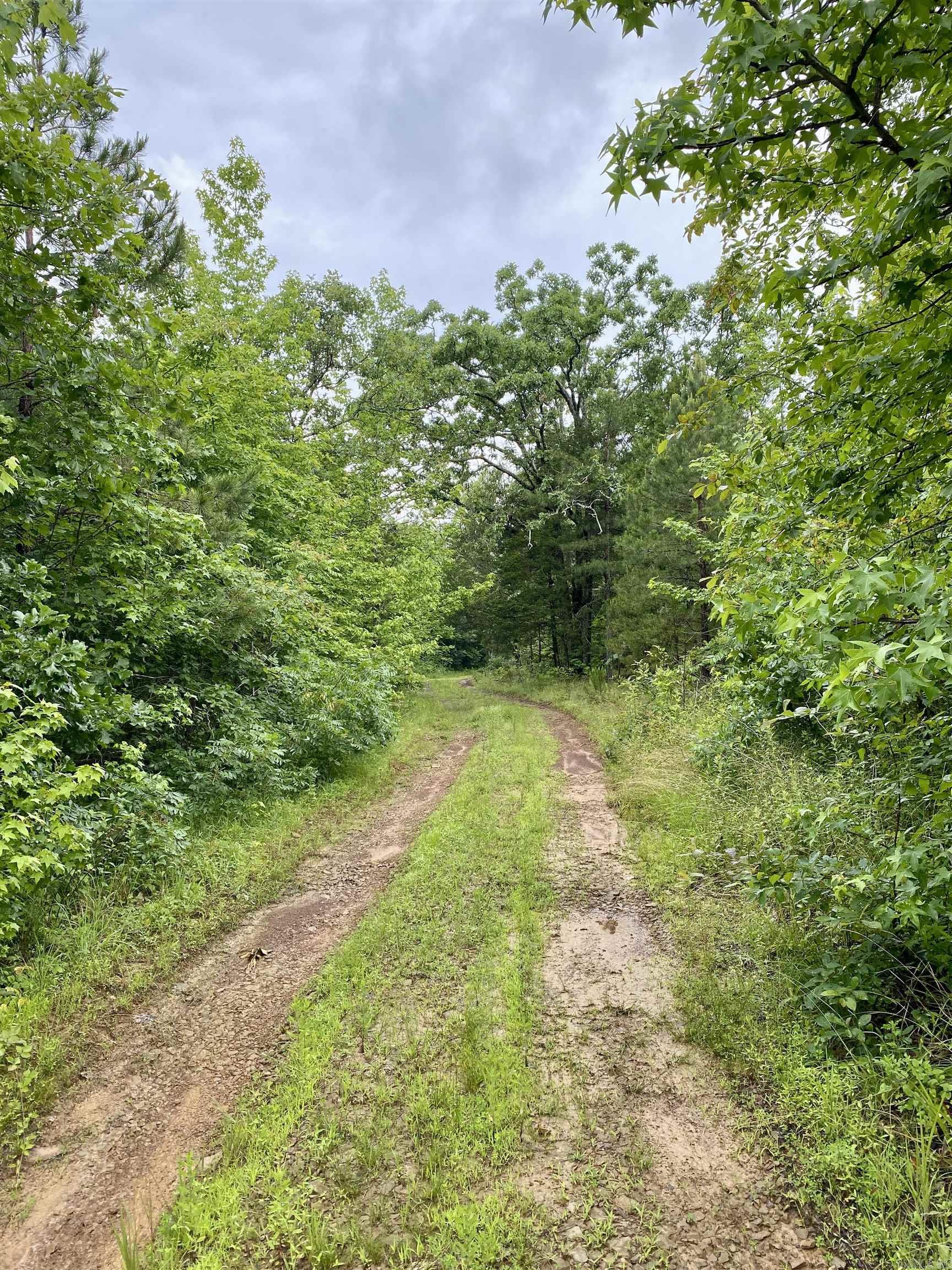 1296 County Road 4015  Ozark, AR