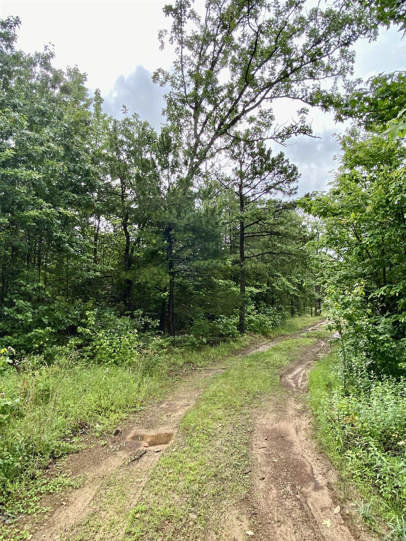 1296 County Road 4015  Ozark, AR