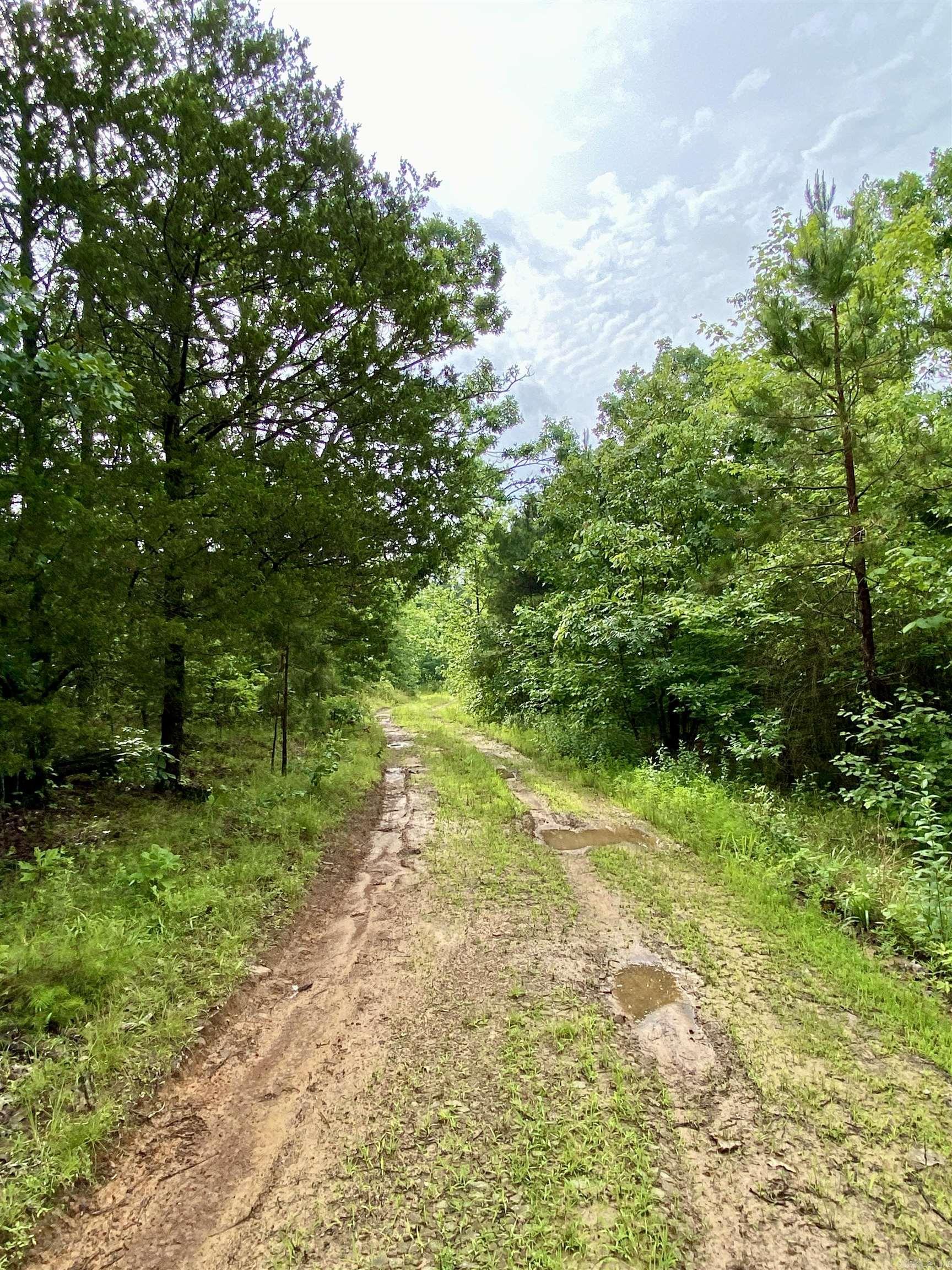 1296 County Road 4015  Ozark, AR
