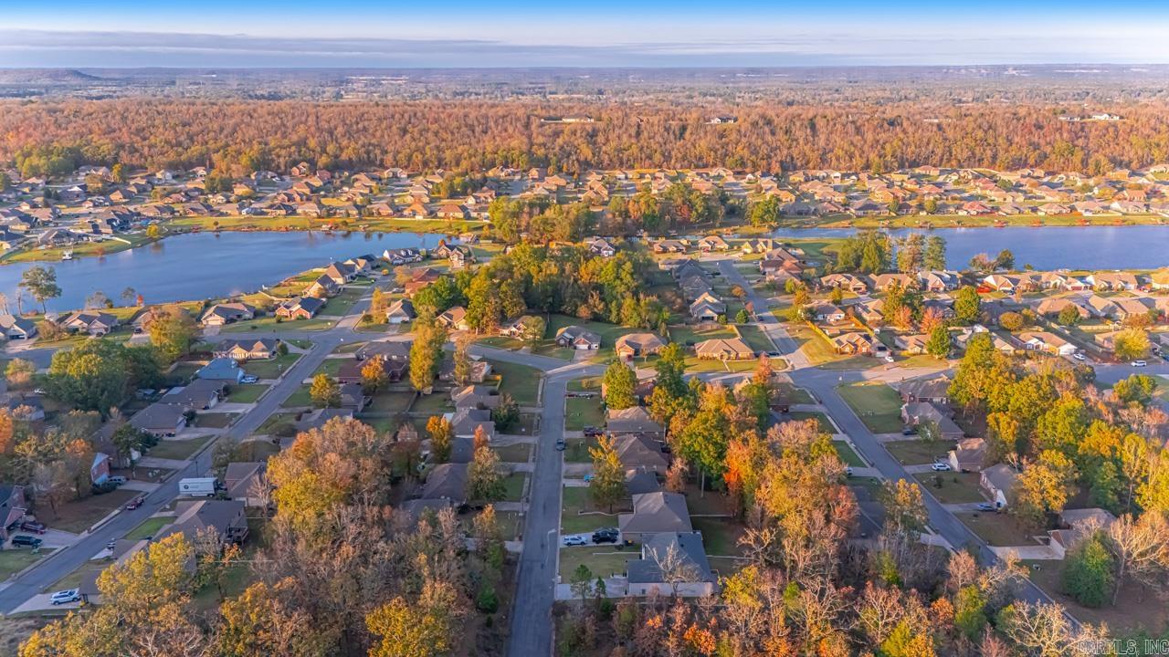 21 Gold Bear  Cabot, AR