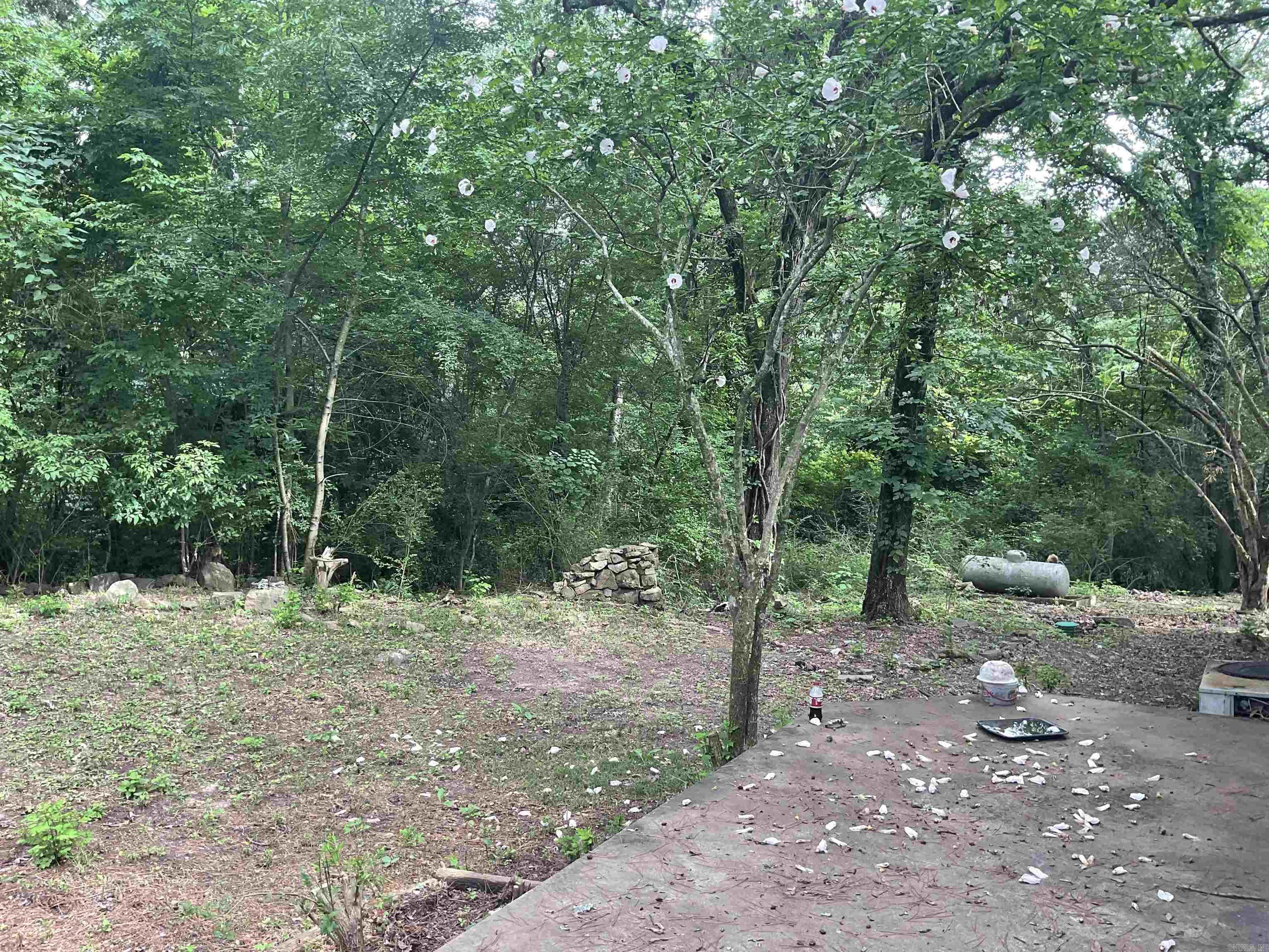 39 Holley Rd  Edgemont, AR