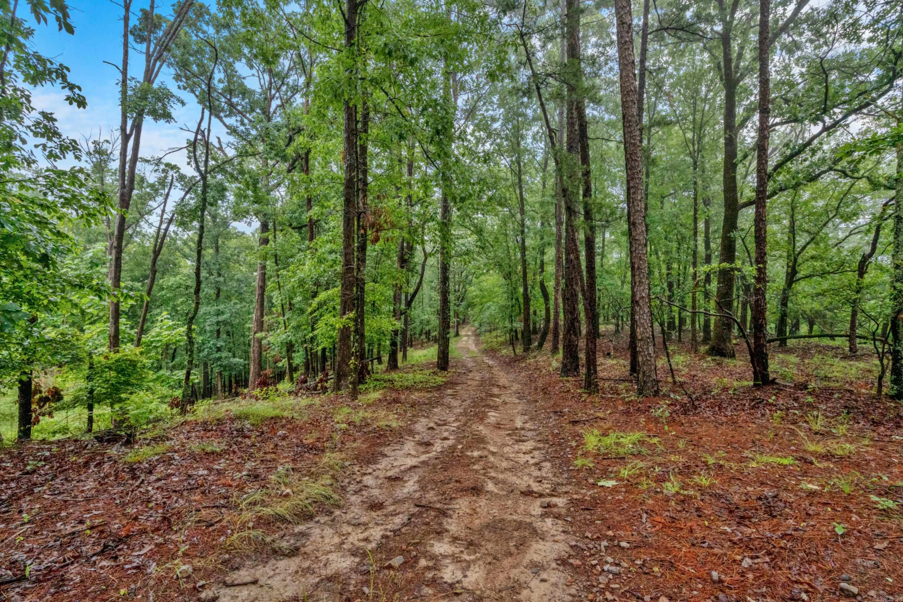 132 Newark  Hot Springs, AR