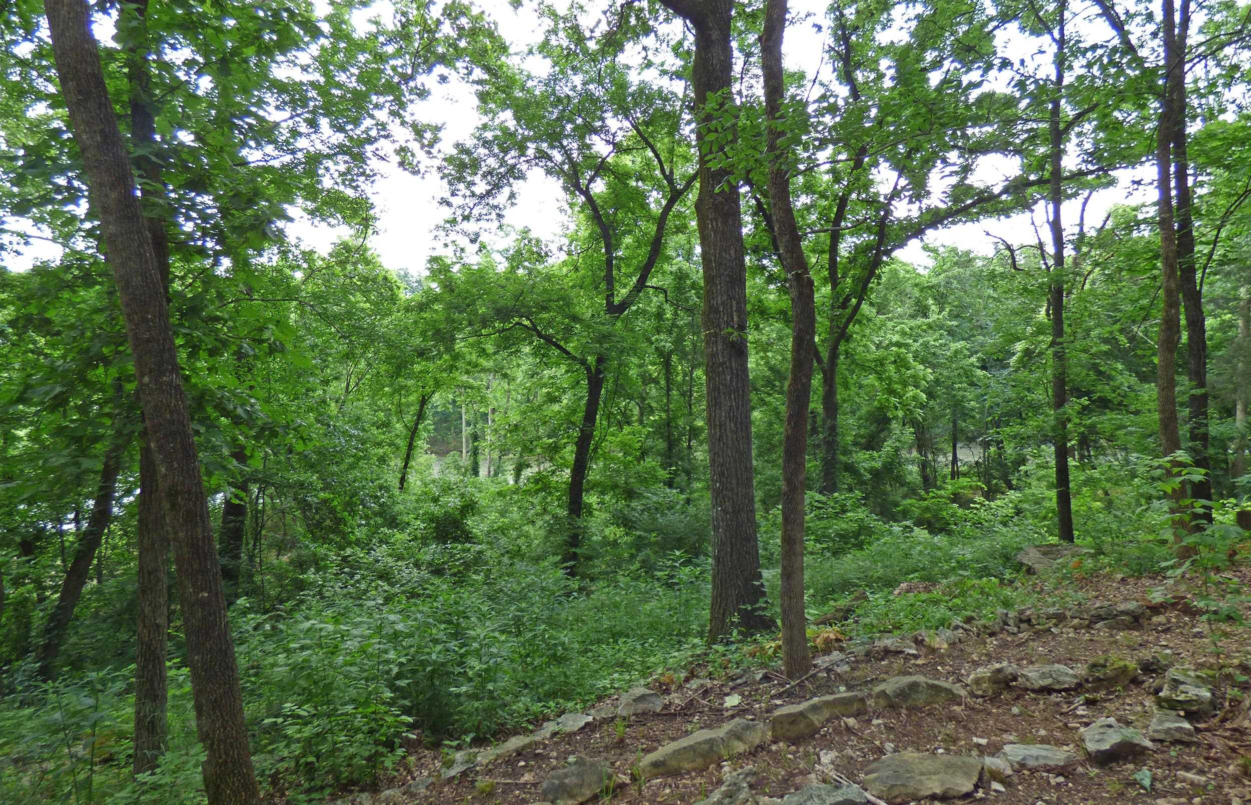 1 Minentonka  Cherokee Village, AR
