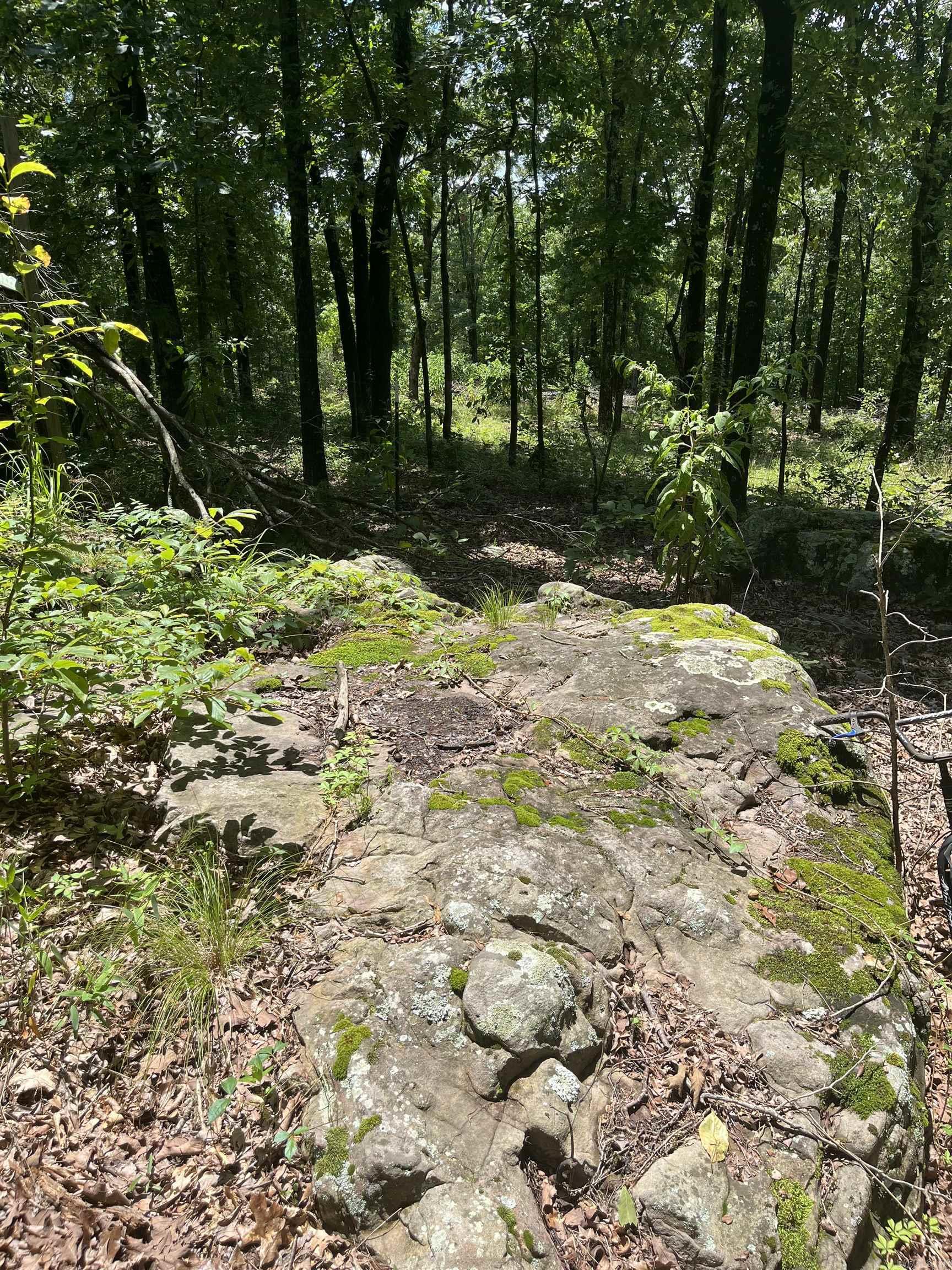 620 Goff  Quitman, AR