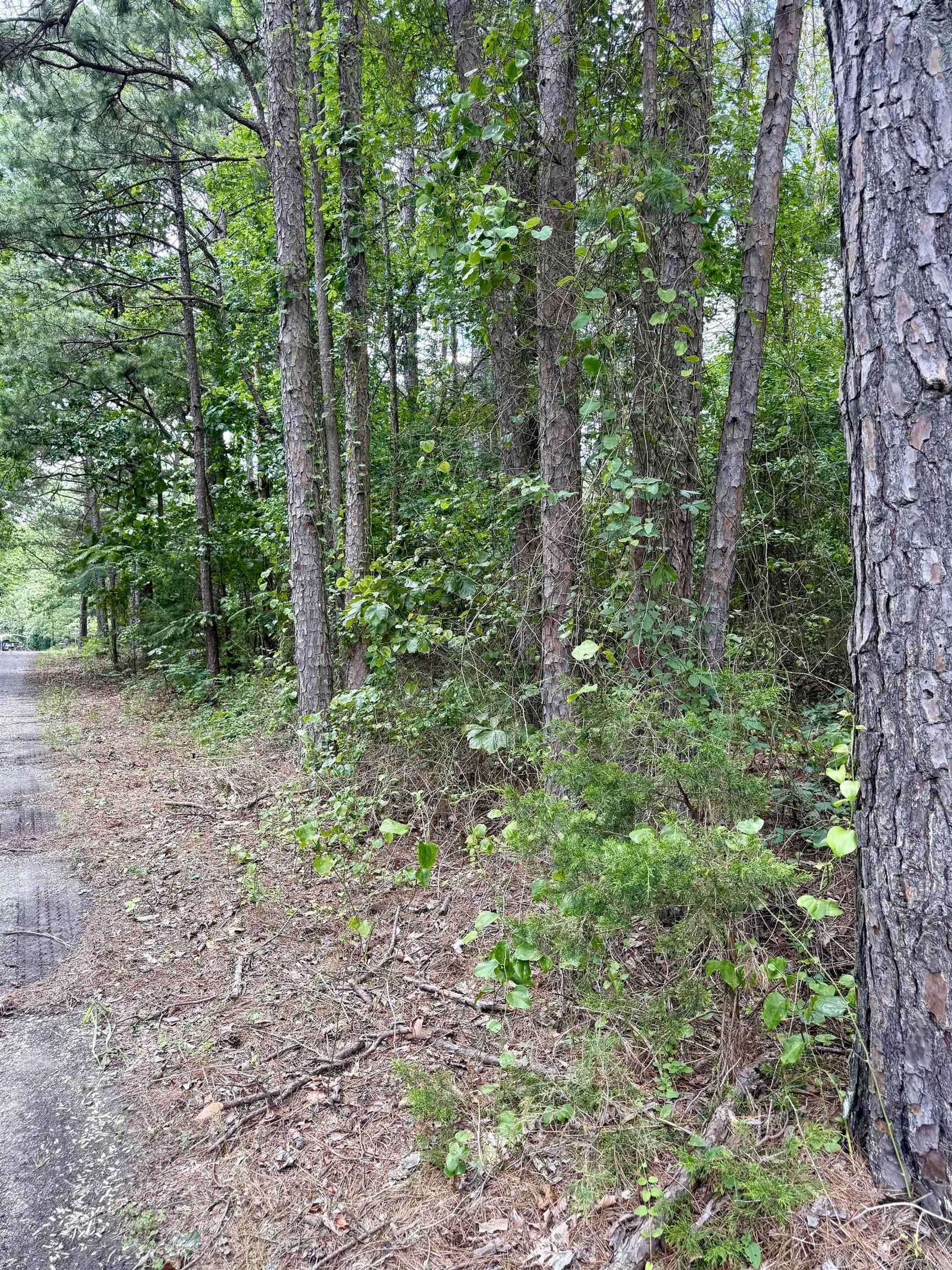  Lynn Corner of Lynn and Chestnut Heber Springs, AR