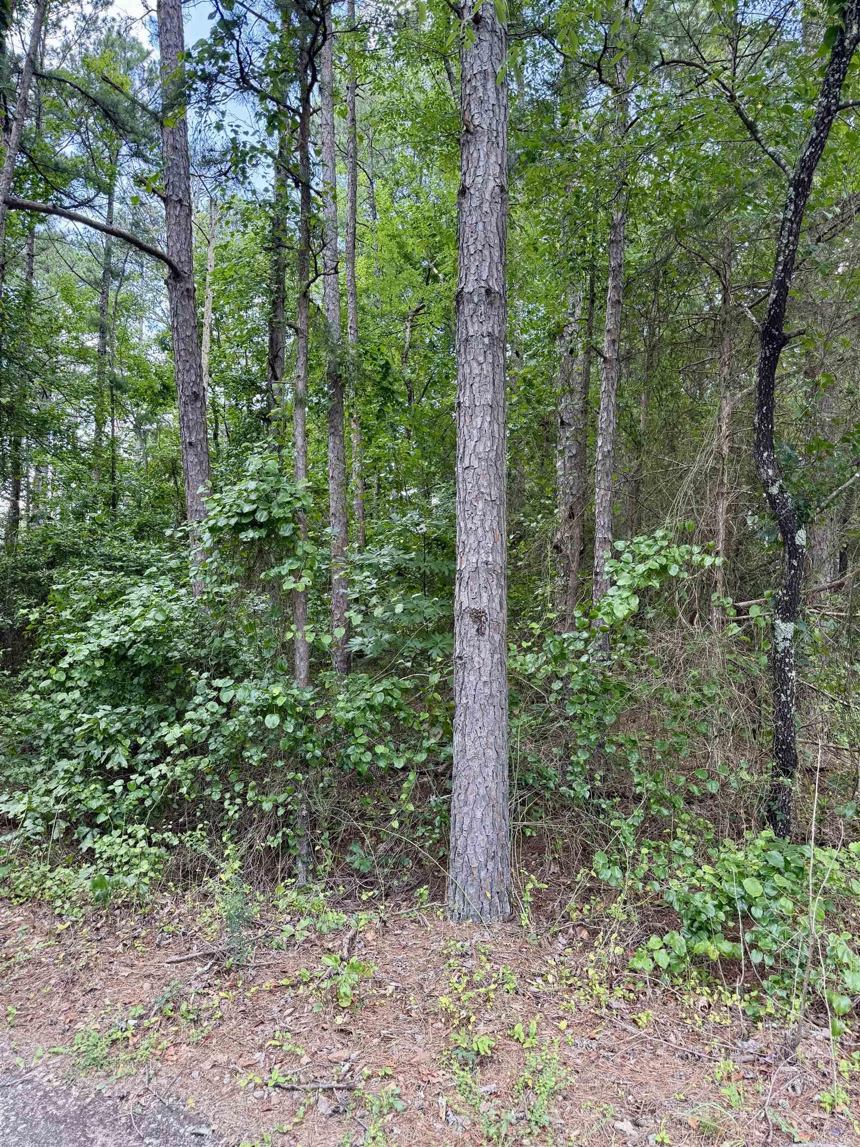  Lynn Corner of Lynn and Chestnut Heber Springs, AR