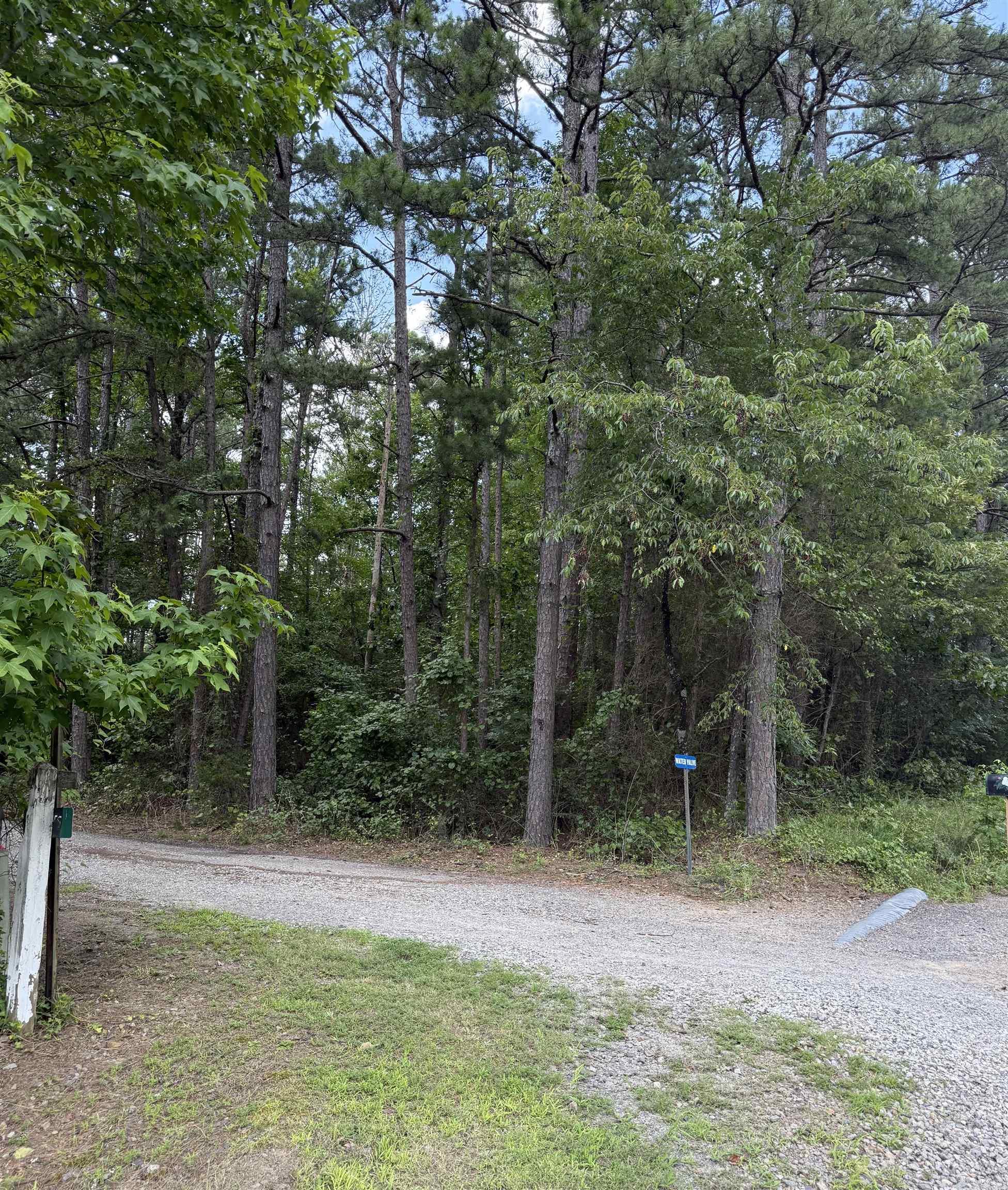  Lynn Corner of Lynn and Chestnut Heber Springs, AR