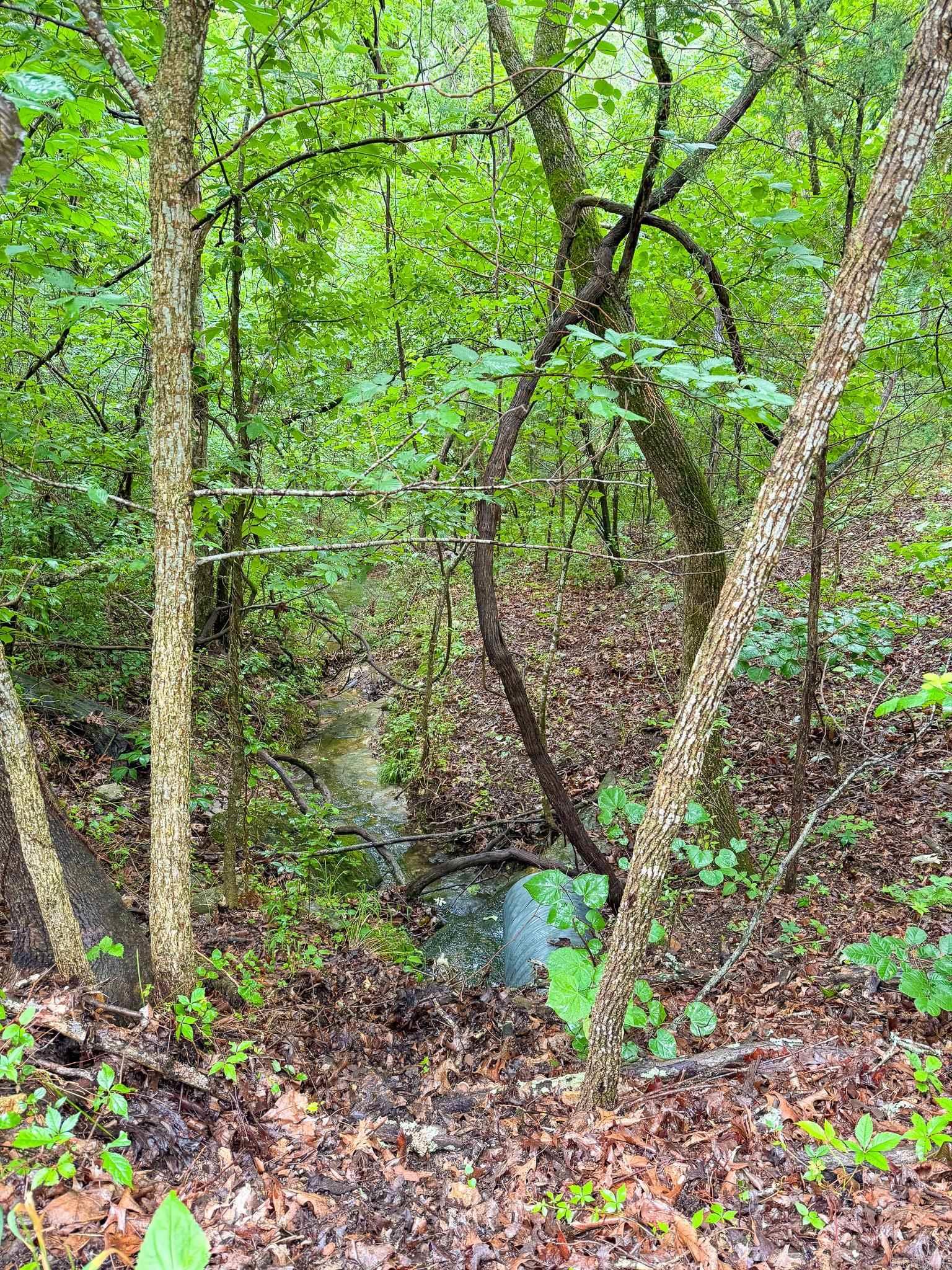 14848 Wild Honey  Garfield, AR