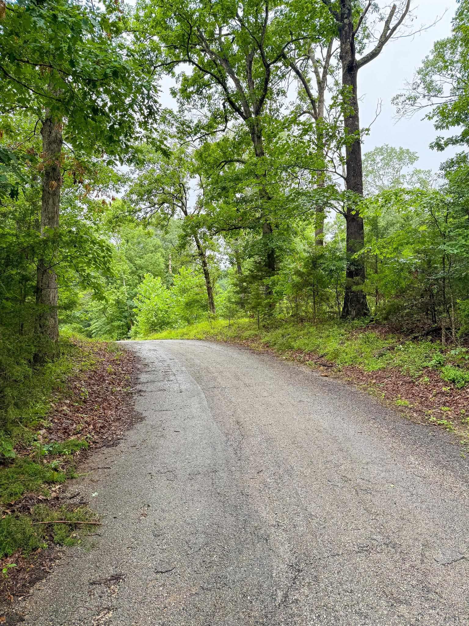 14848 Wild Honey  Garfield, AR