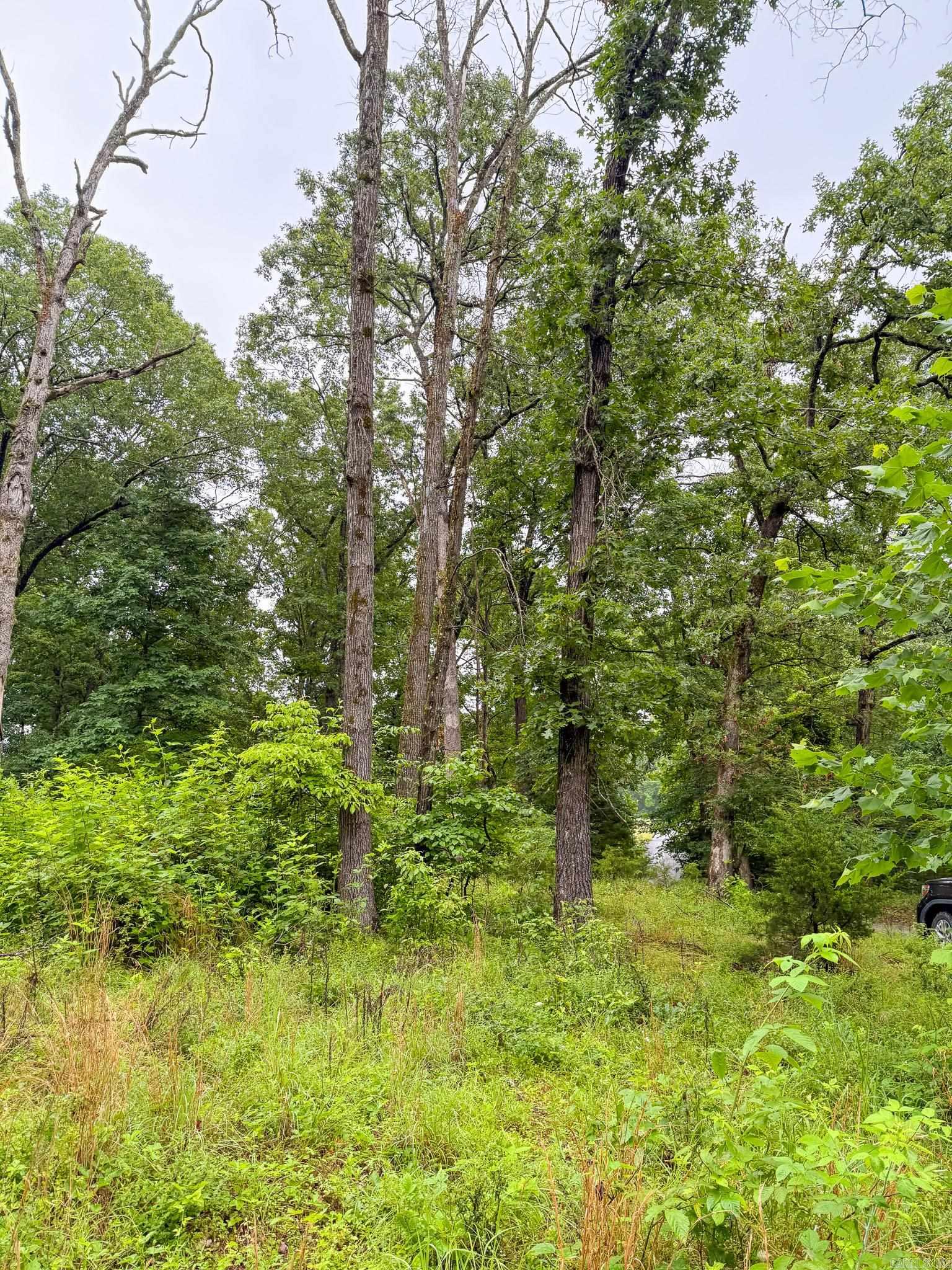 14848 Wild Honey  Garfield, AR