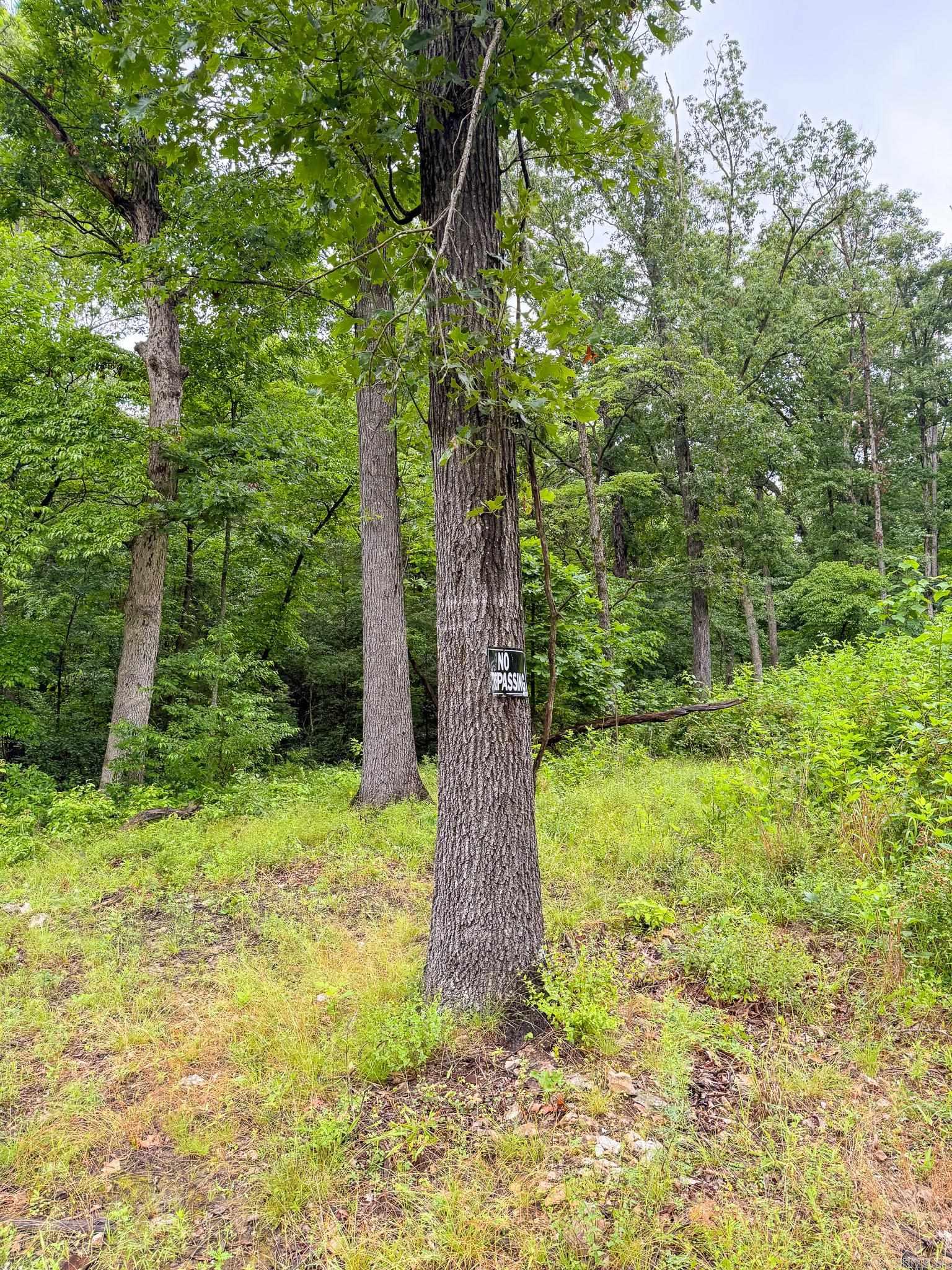 14848 Wild Honey  Garfield, AR