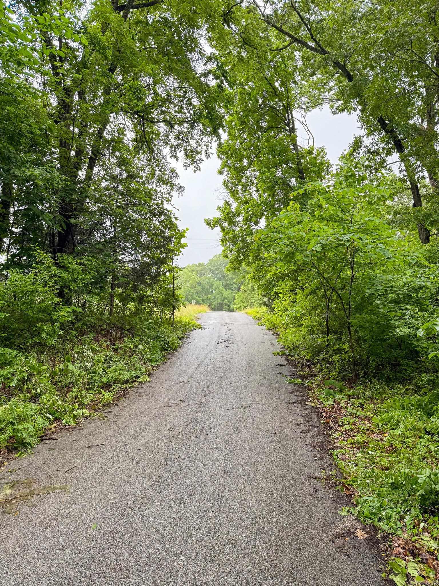 14848 Wild Honey  Garfield, AR