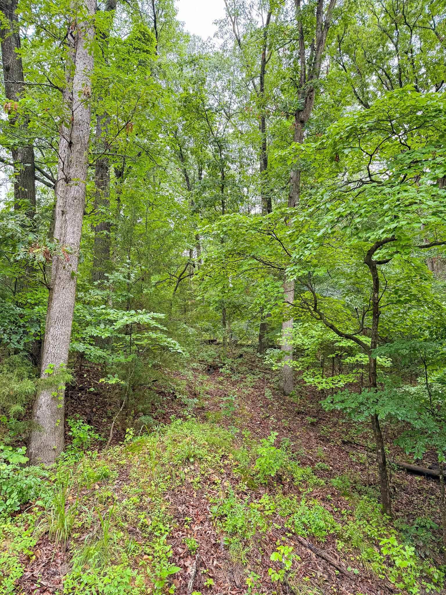 14848 Wild Honey  Garfield, AR