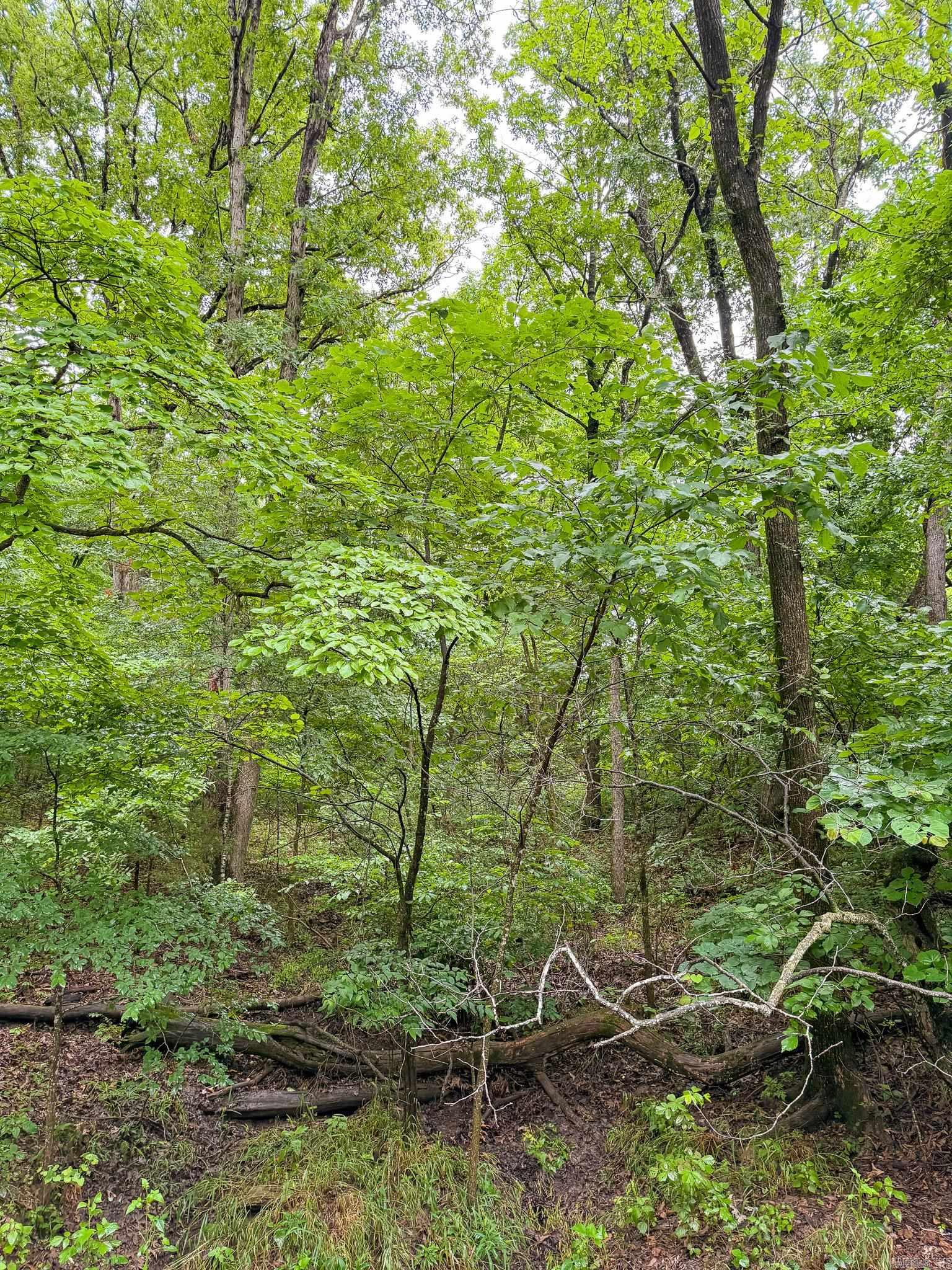 14848 Wild Honey  Garfield, AR