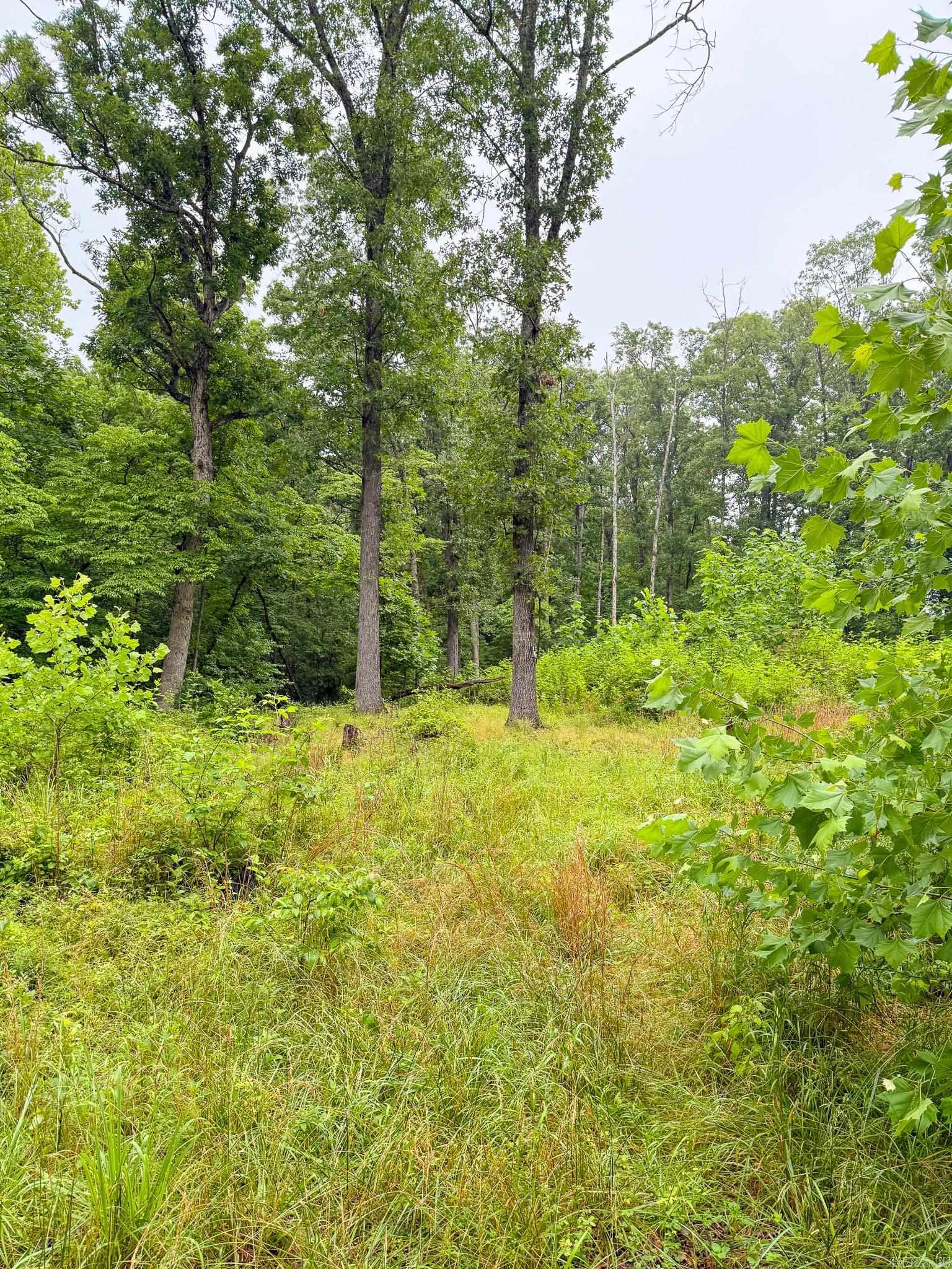 14848 Wild Honey  Garfield, AR