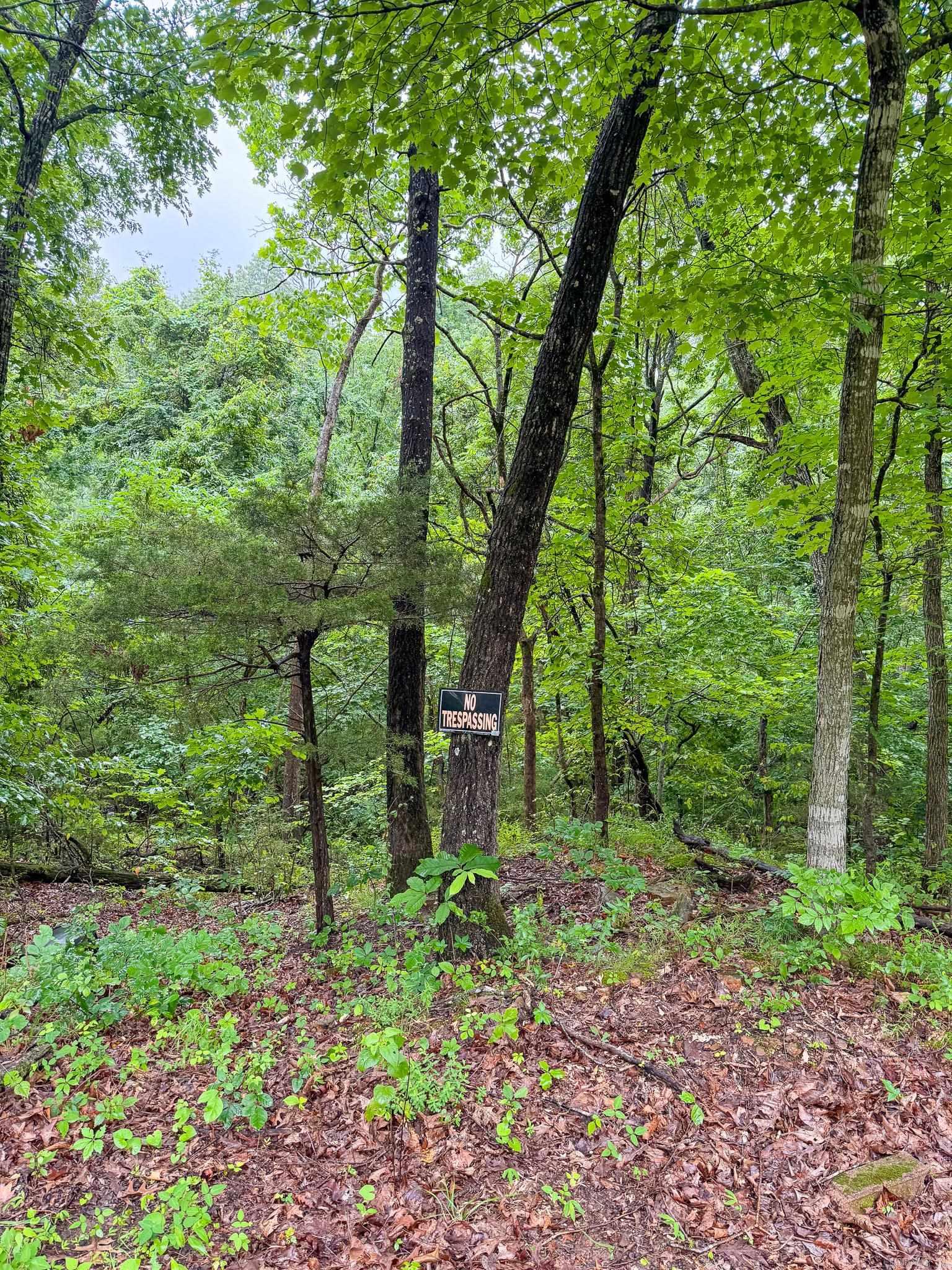 14848 Wild Honey  Garfield, AR