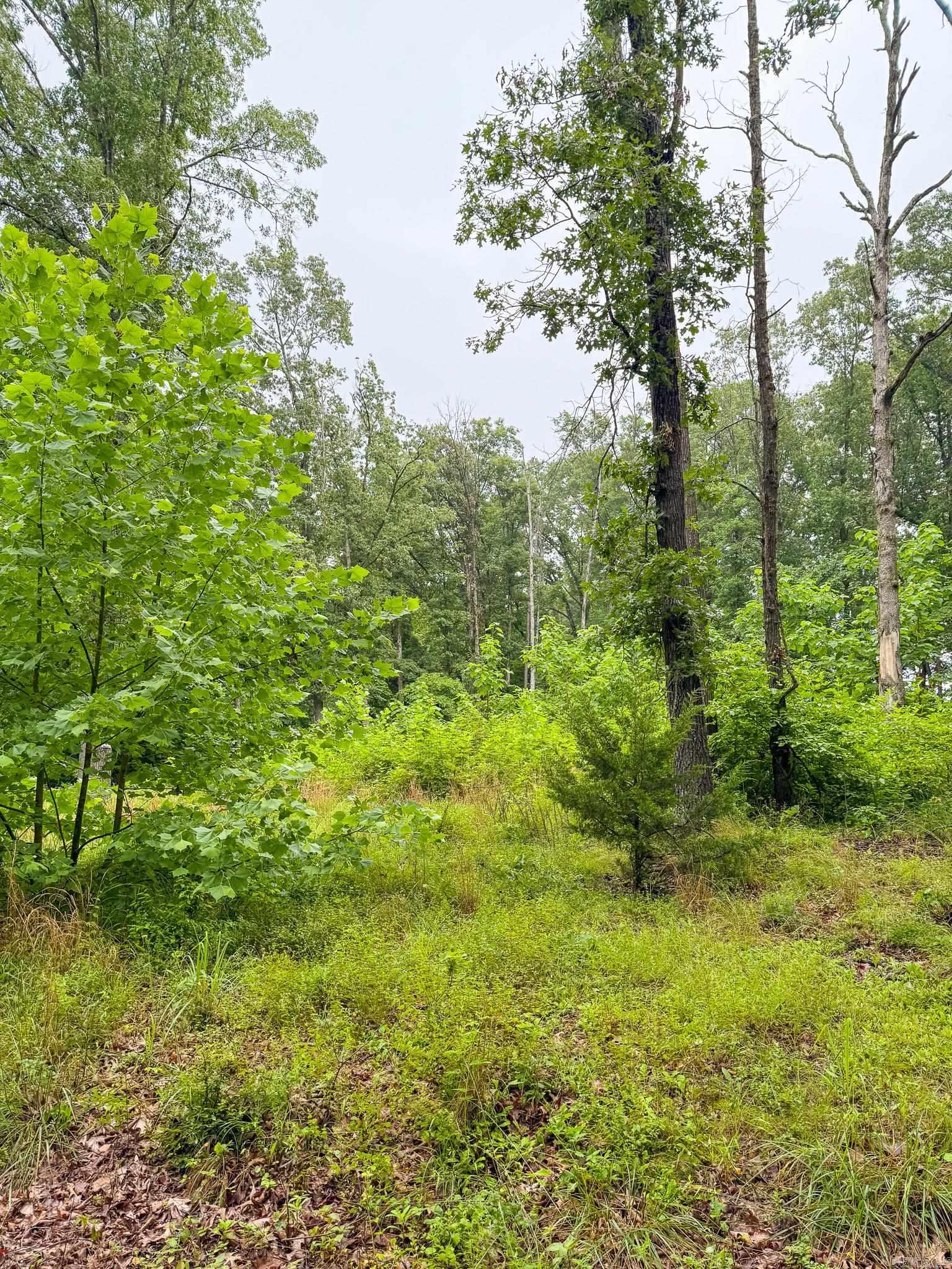 14848 Wild Honey  Garfield, AR