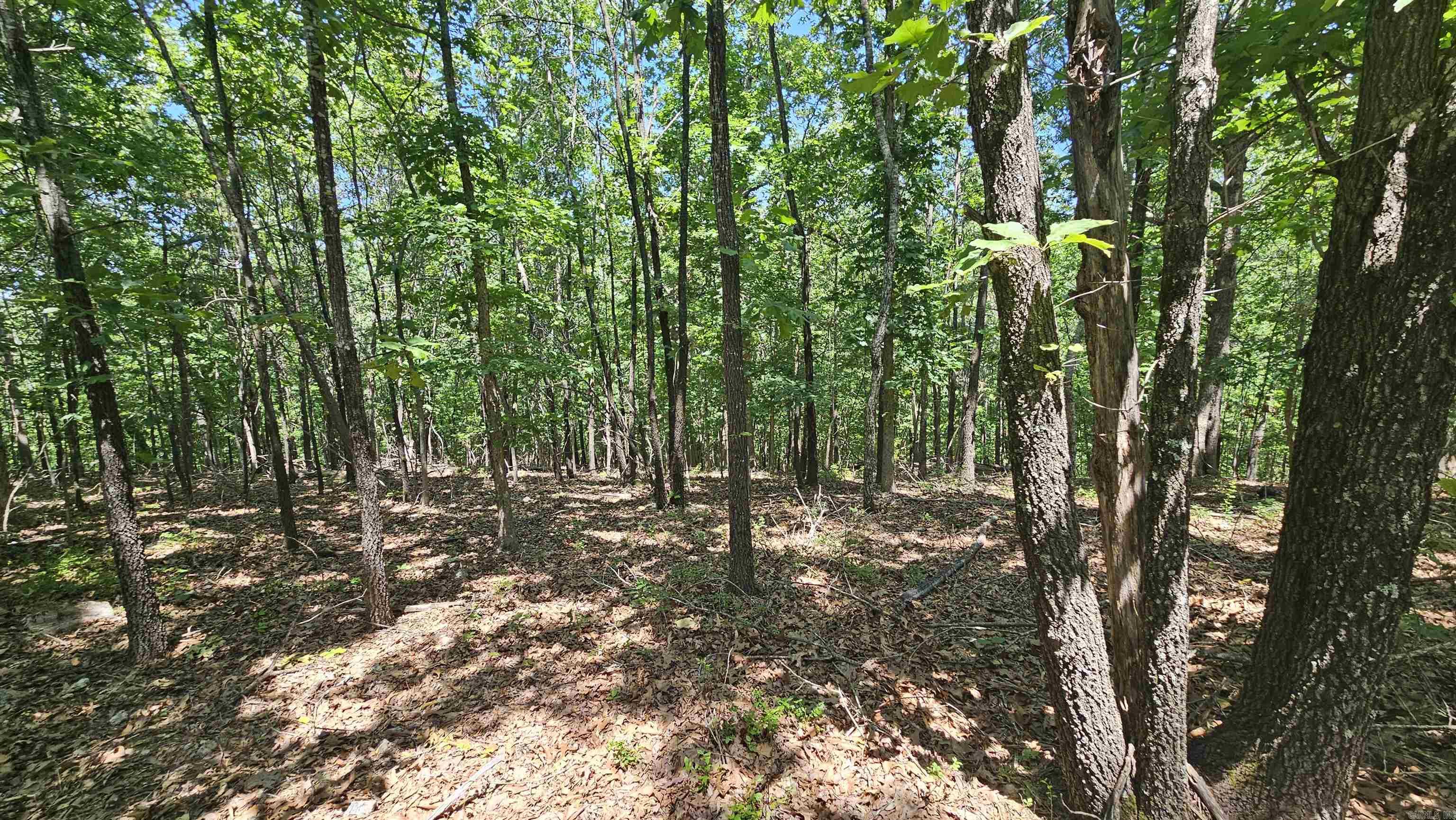 MC 2085  Peel, AR