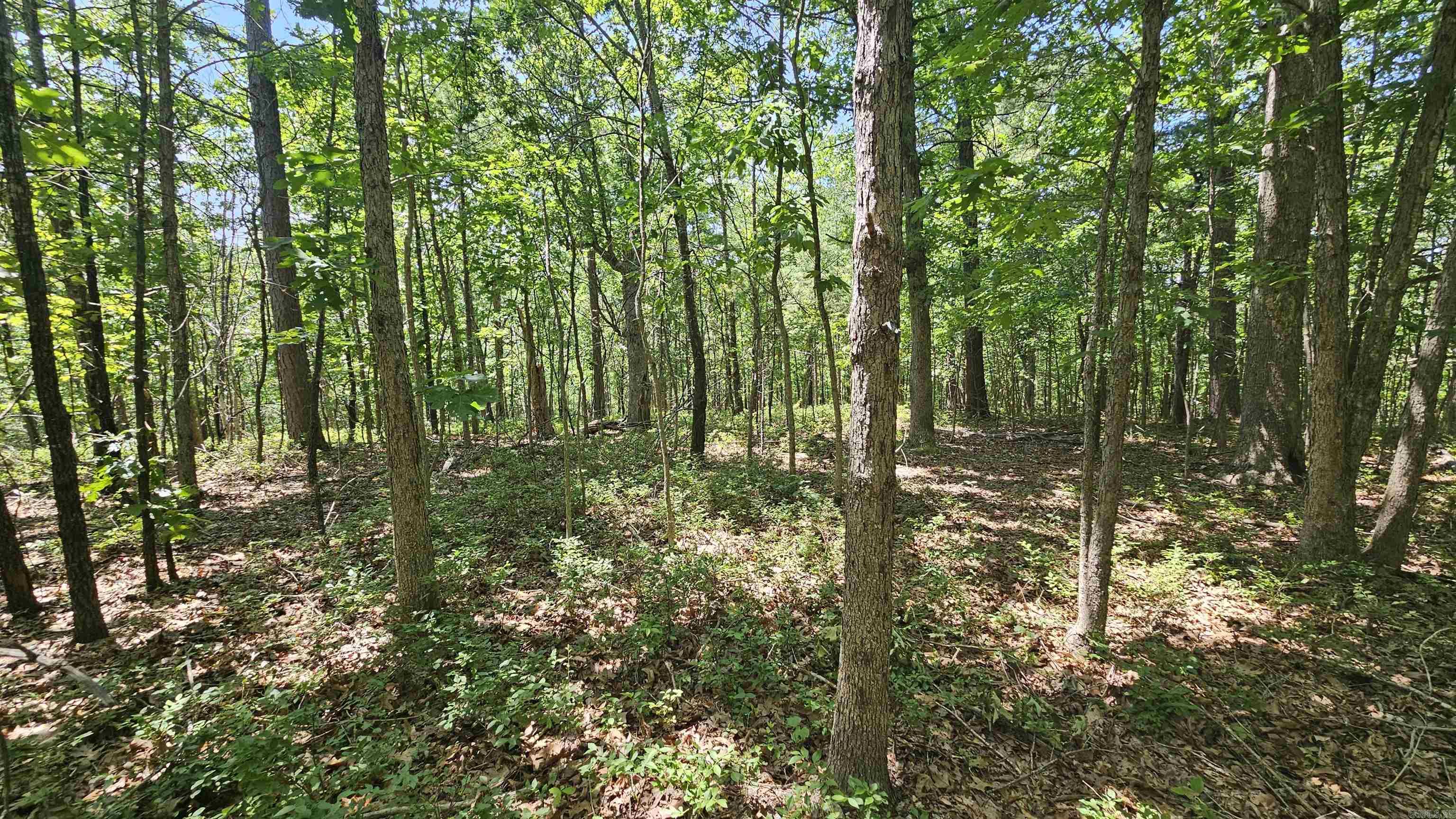 MC 2085  Peel, AR