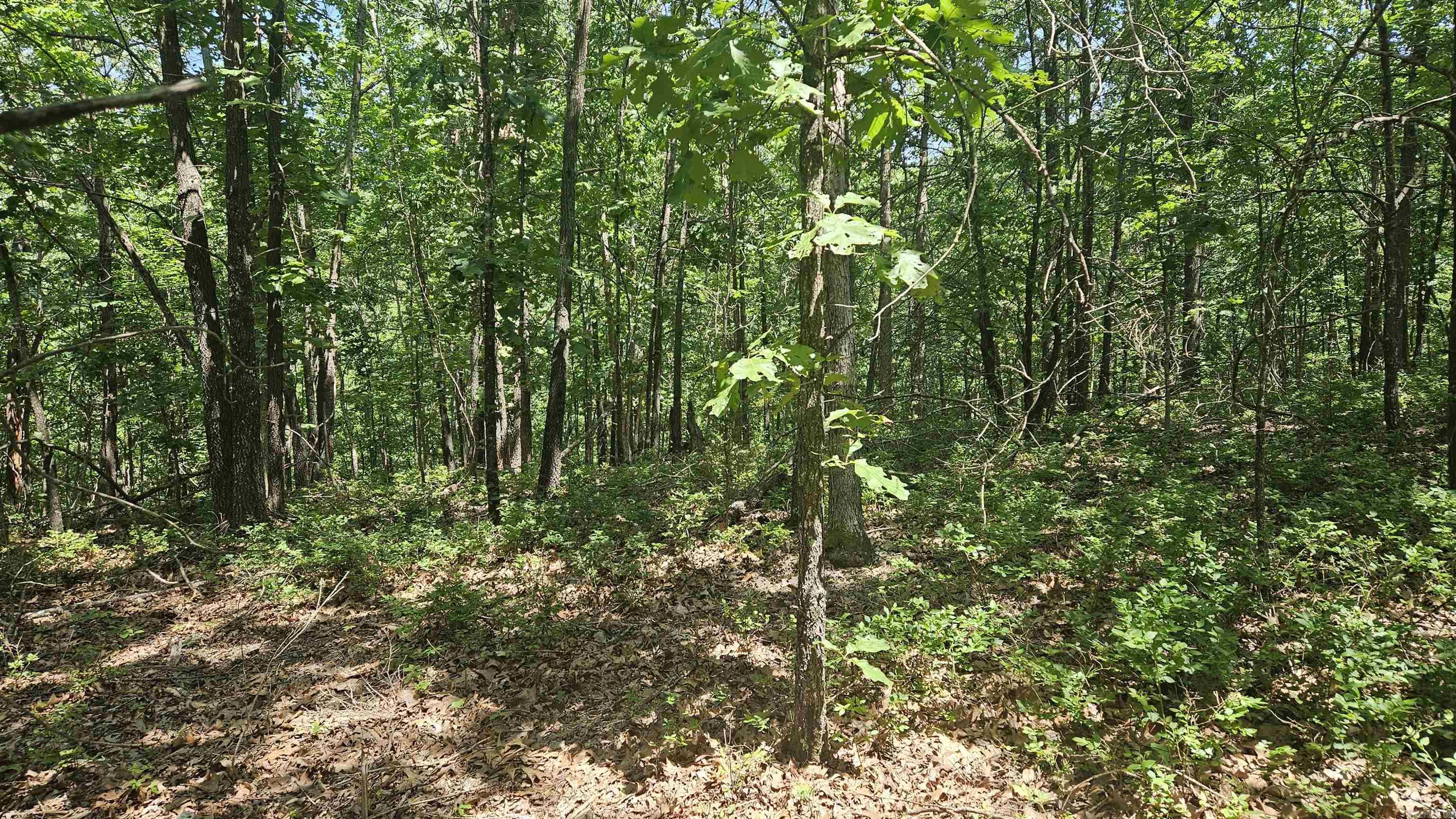 MC 2085  Peel, AR
