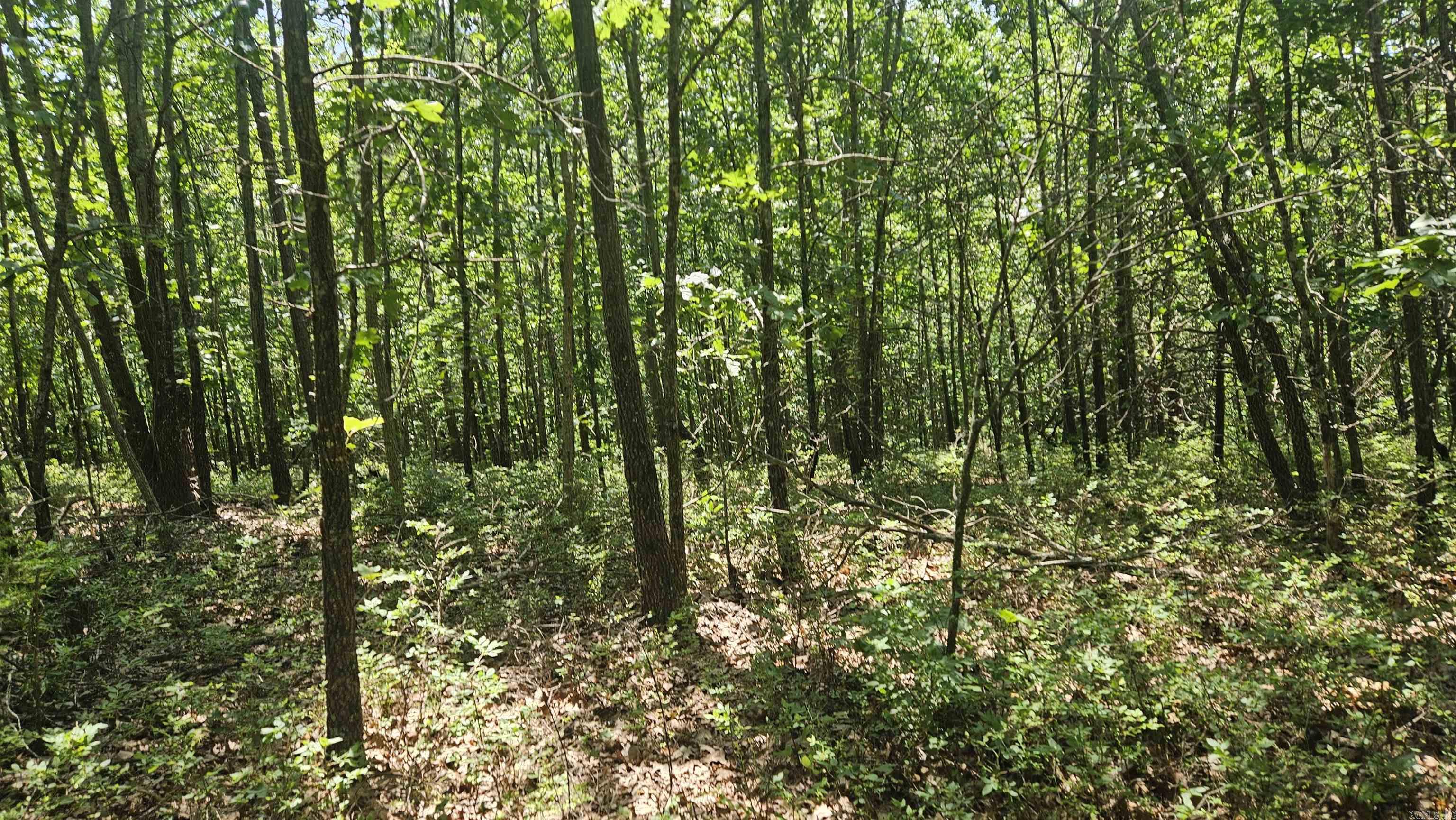 MC 2085  Peel, AR
