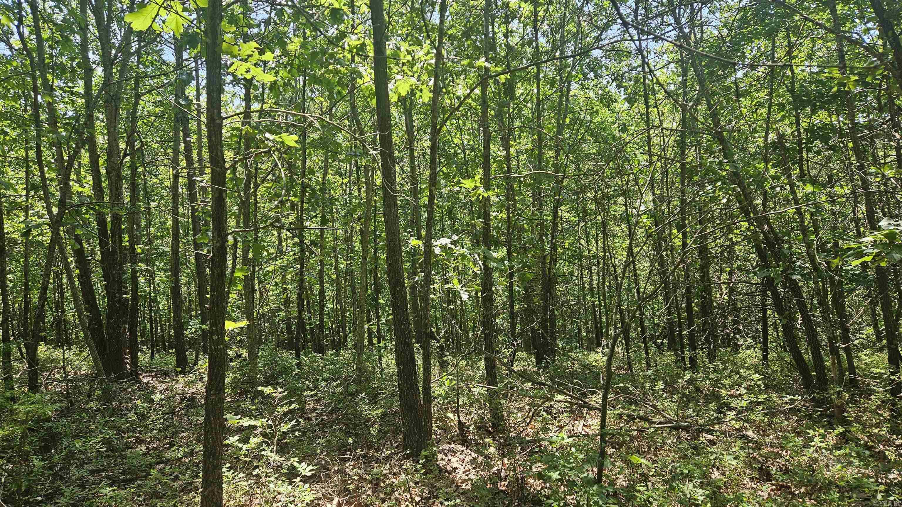 MC 2085  Peel, AR
