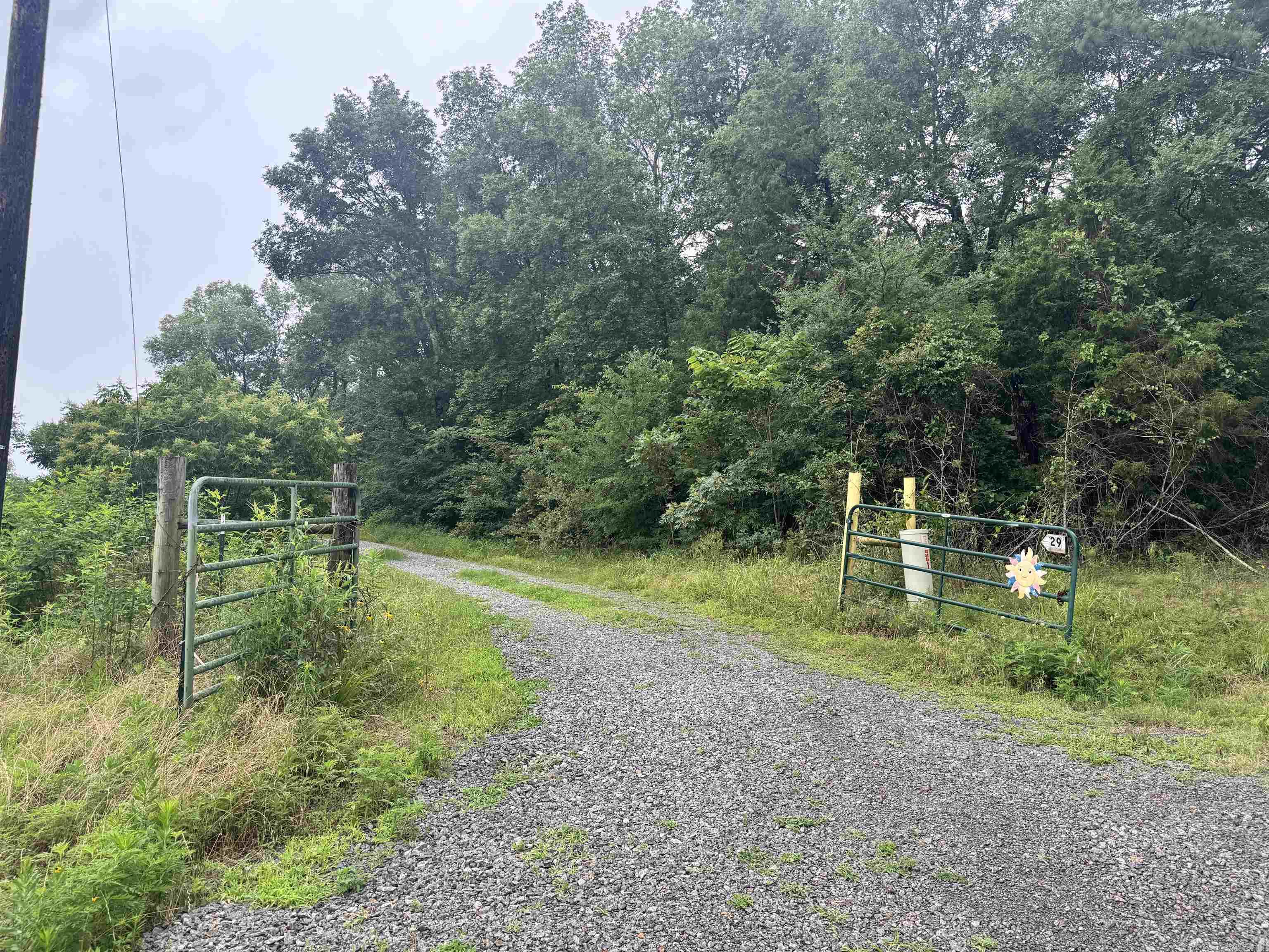 29 Stoney Dr  Greenbrier, AR