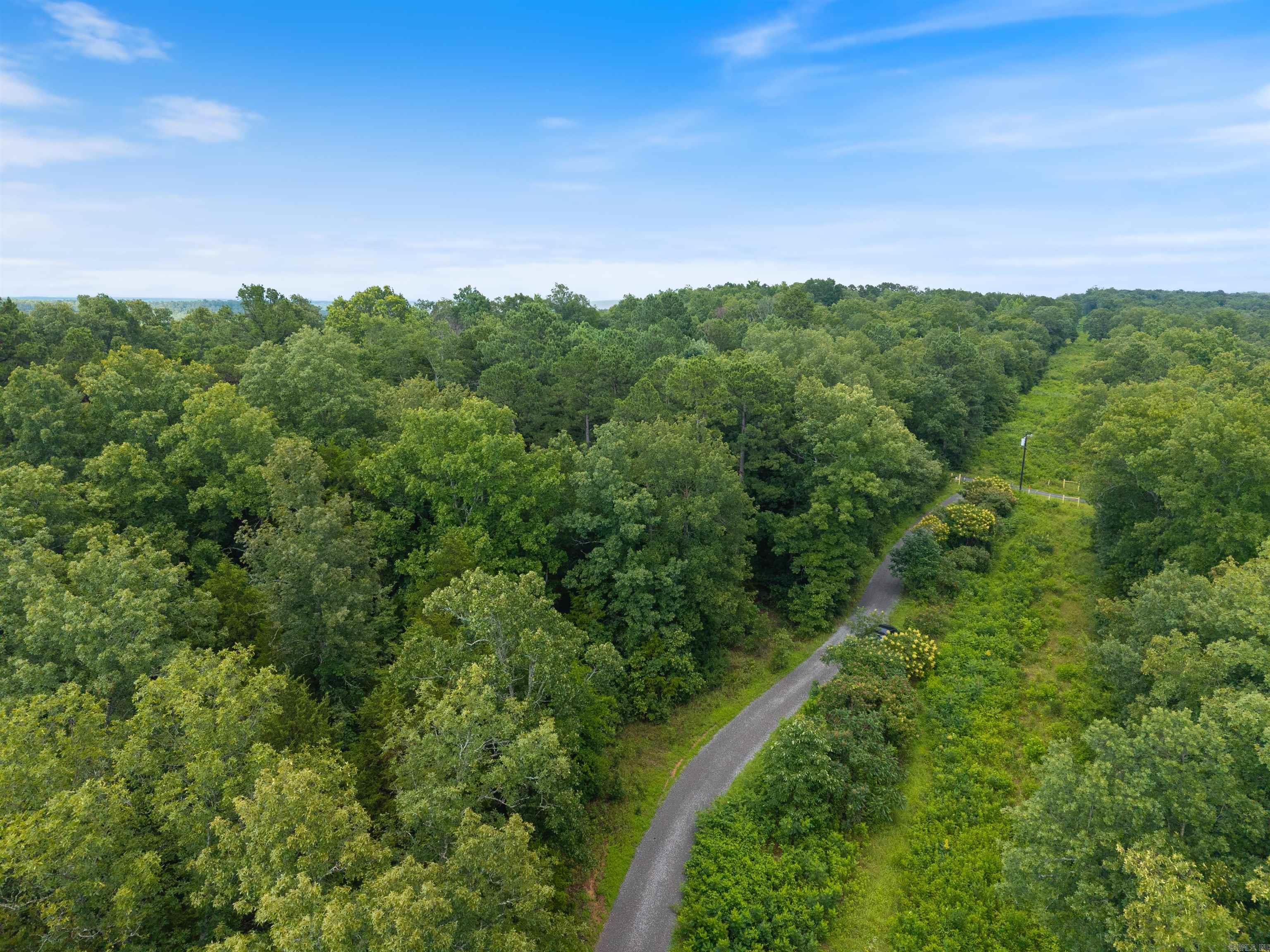 29 Stoney Dr Greenbrier, AR 72058