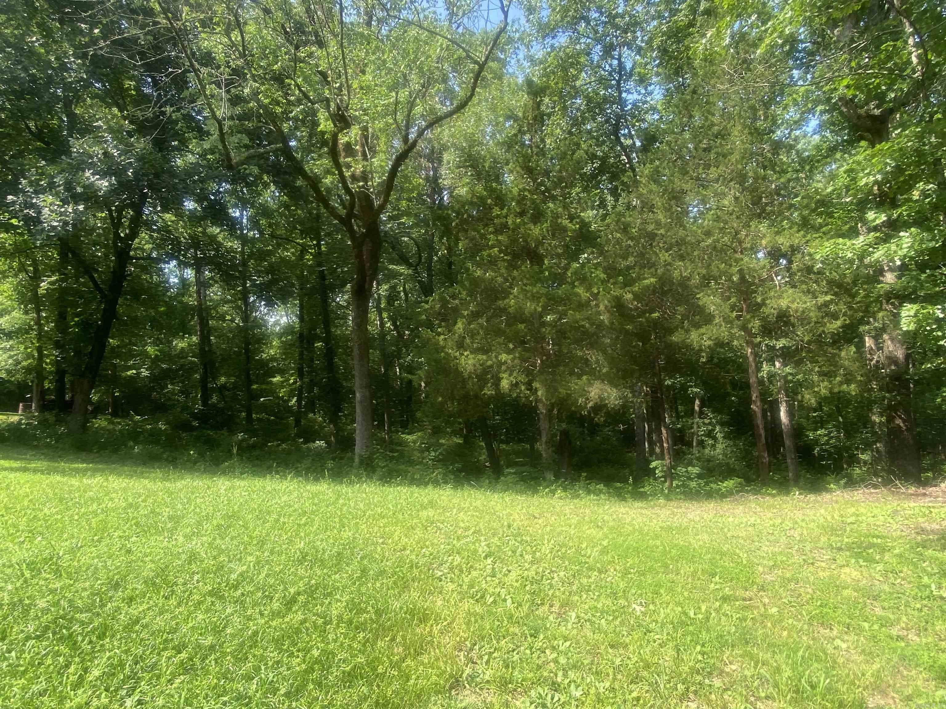 177 Bearce  Mount Ida, AR