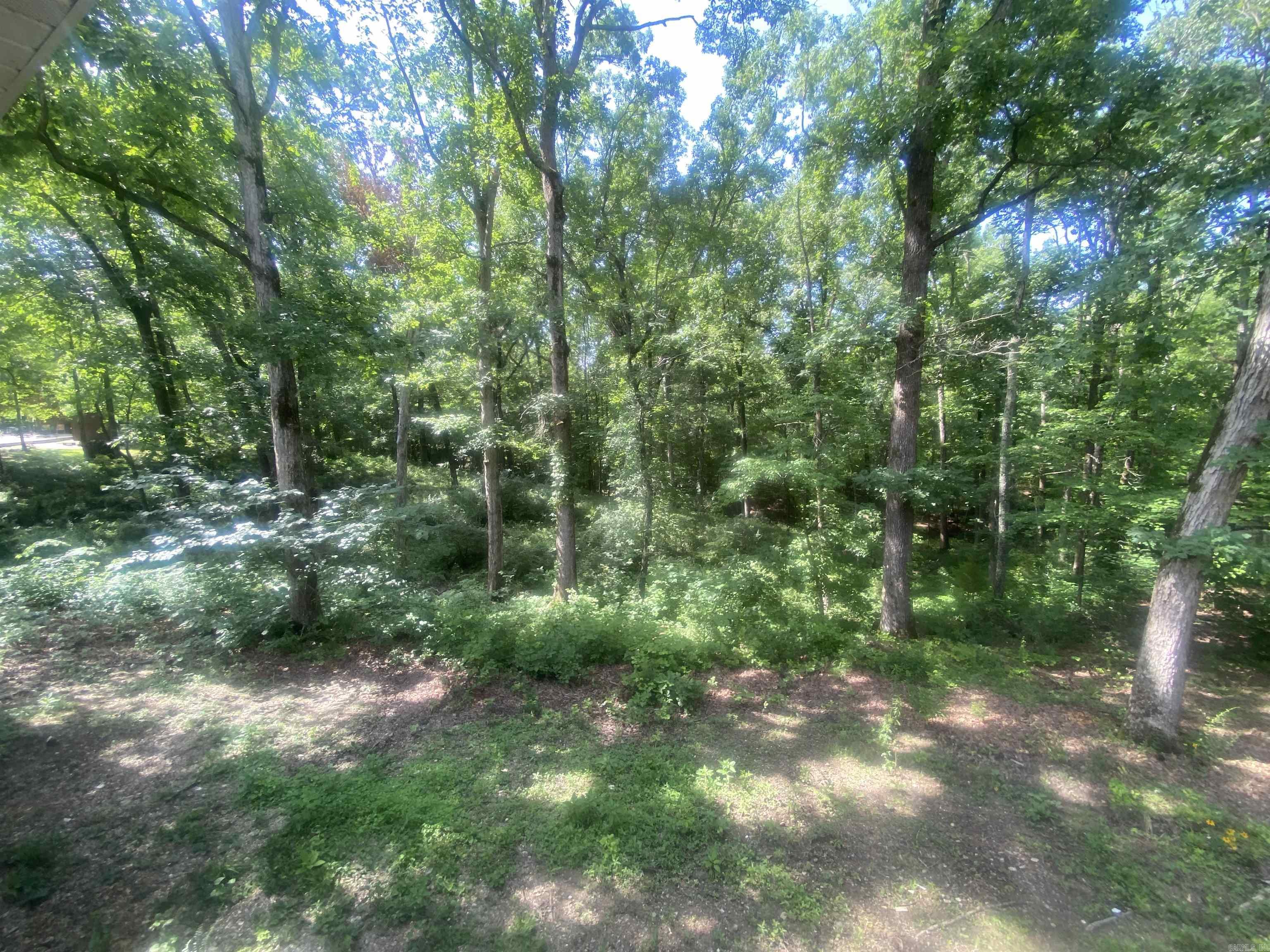 177 Bearce  Mount Ida, AR
