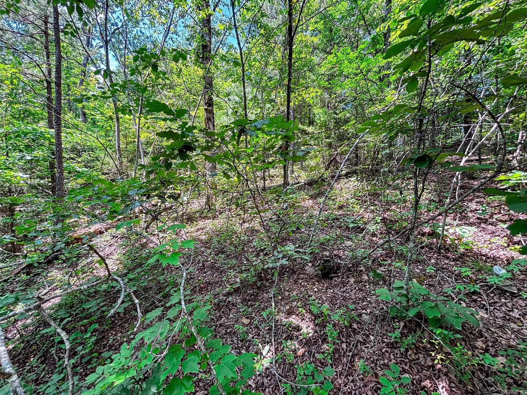 12018 Highway 254  Dennard, AR