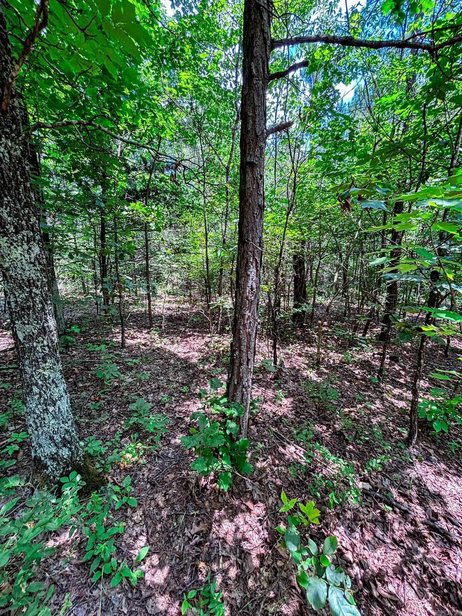 12018 Highway 254  Dennard, AR
