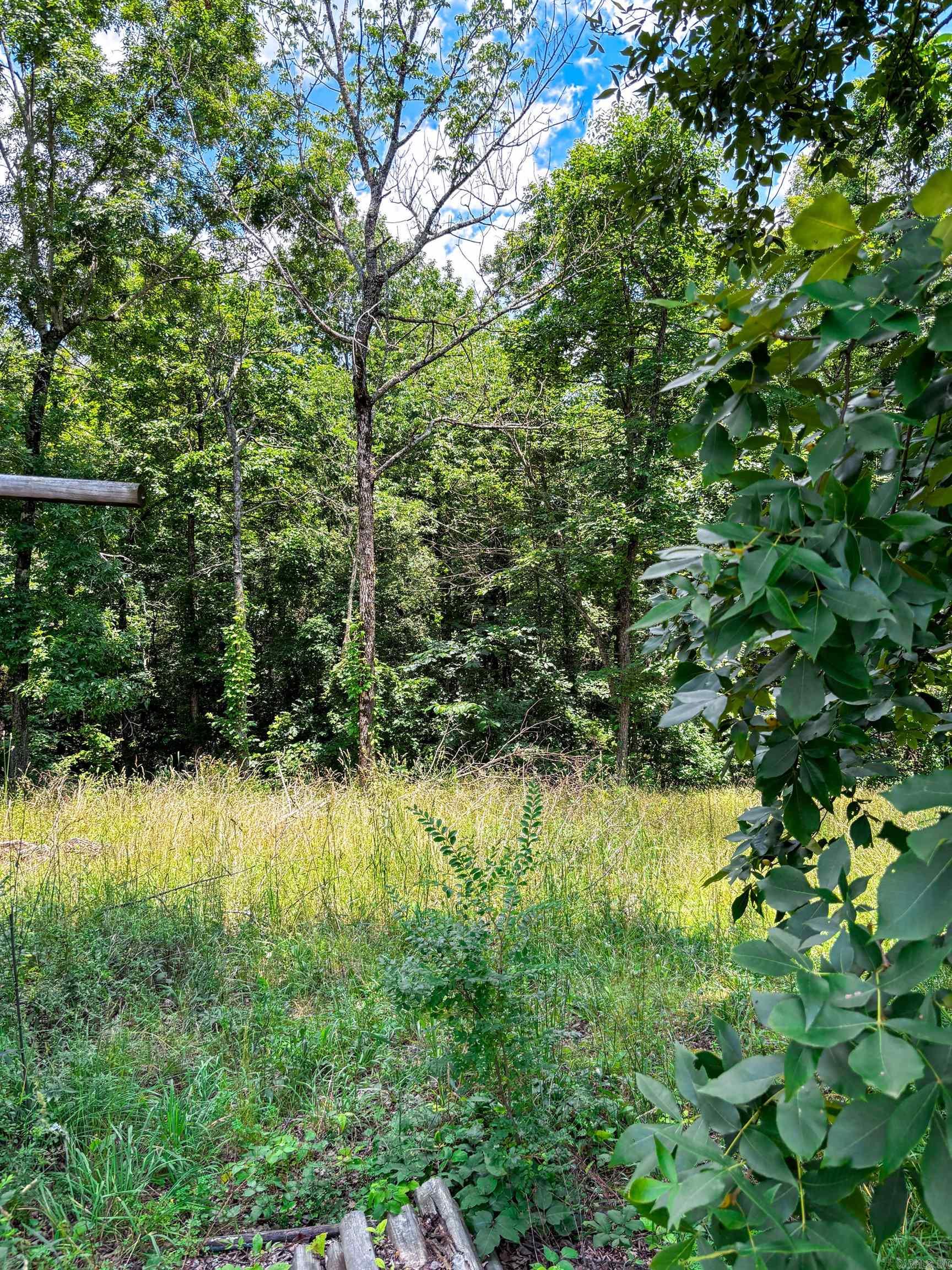 12018 Highway 254  Dennard, AR