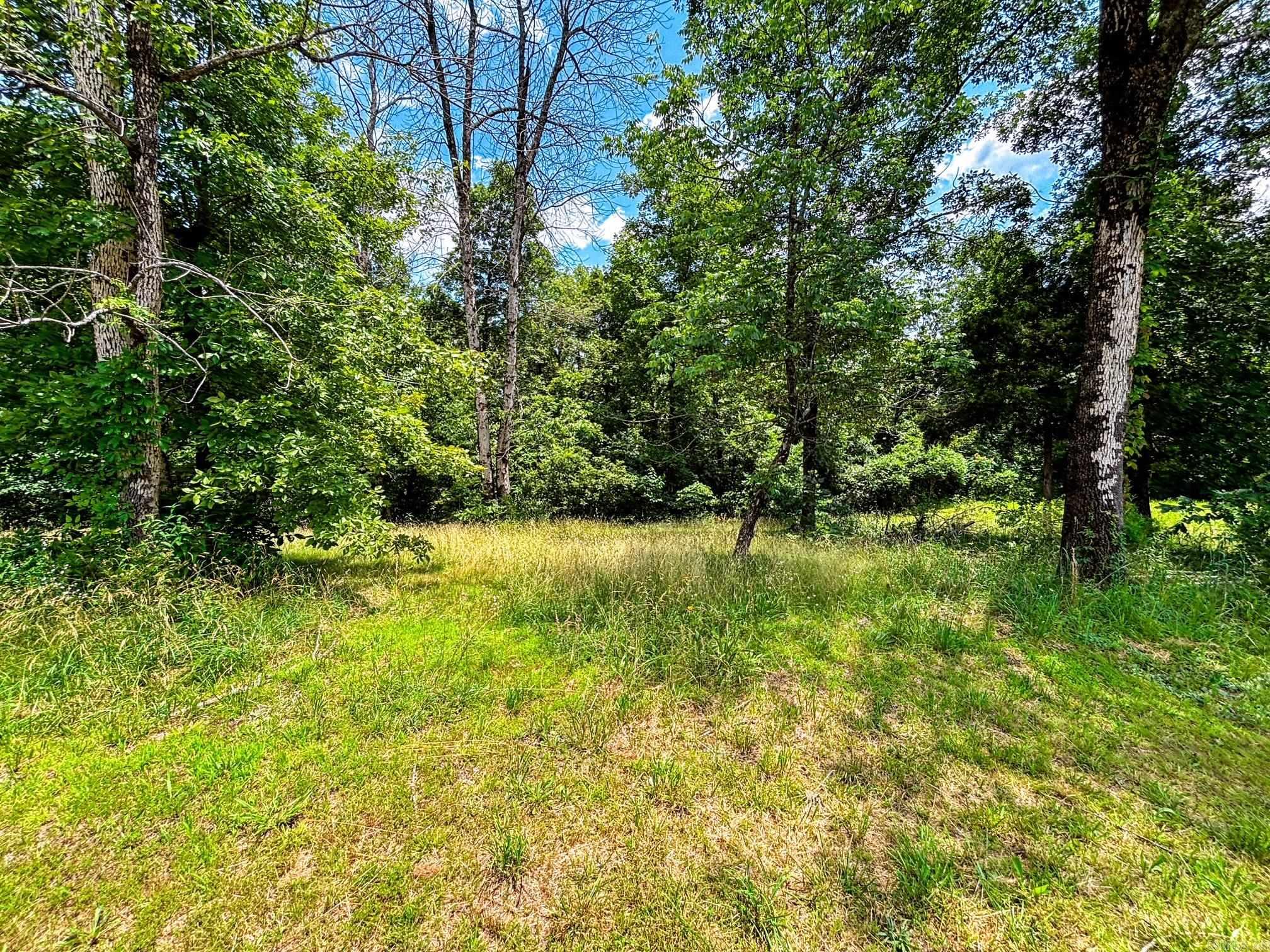 12018 Highway 254  Dennard, AR