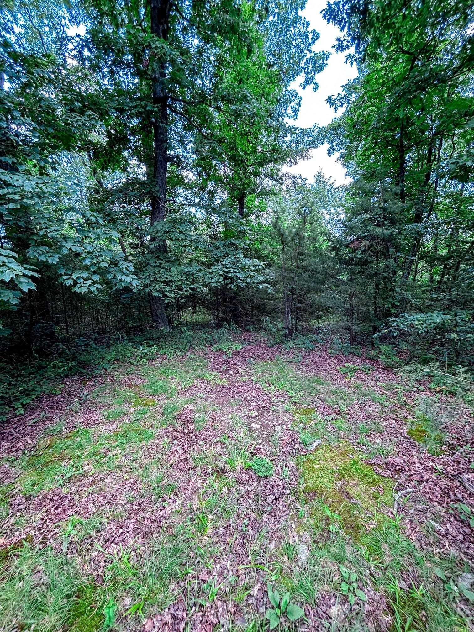 12018 Highway 254  Dennard, AR