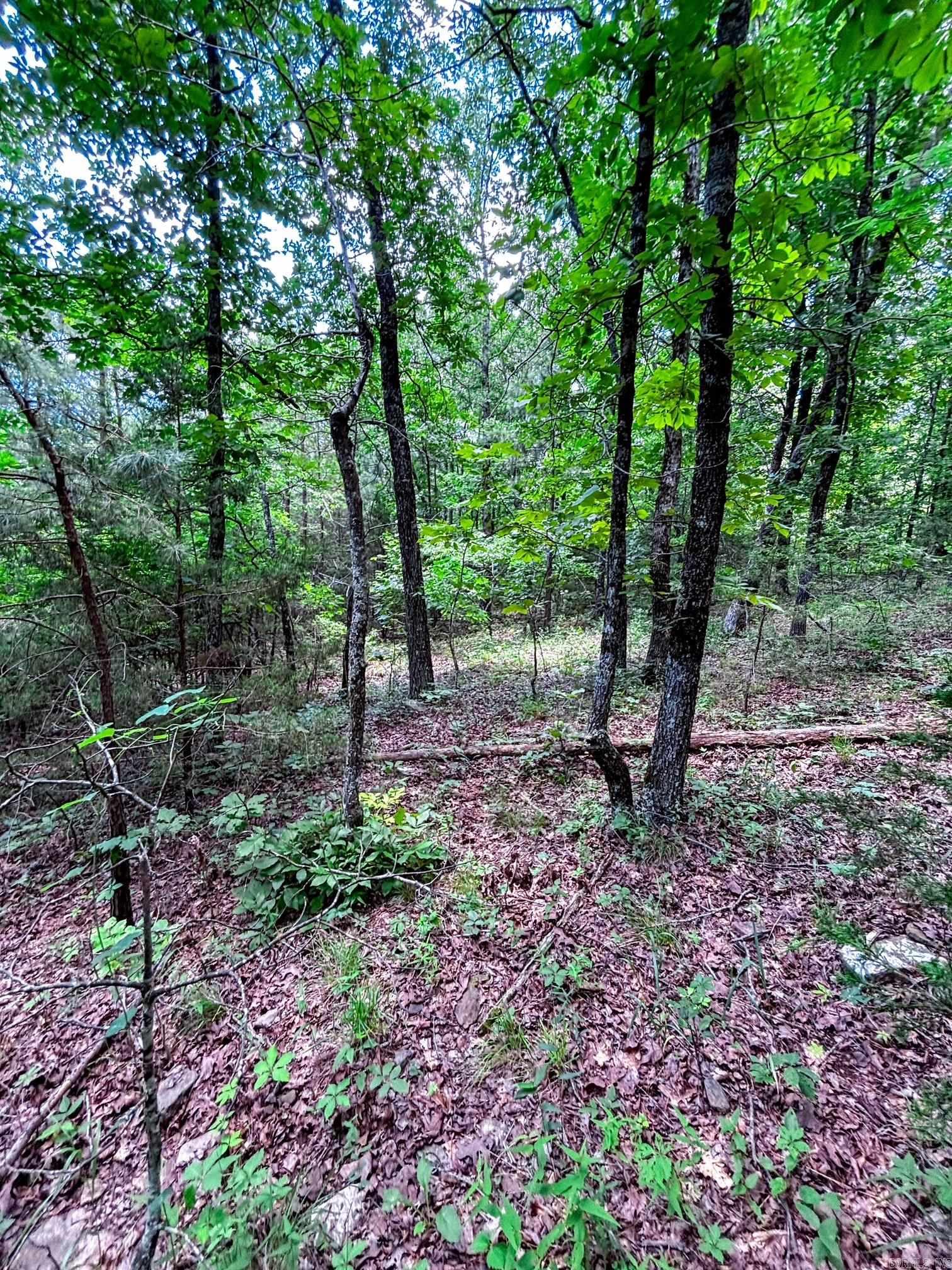 12018 Highway 254  Dennard, AR