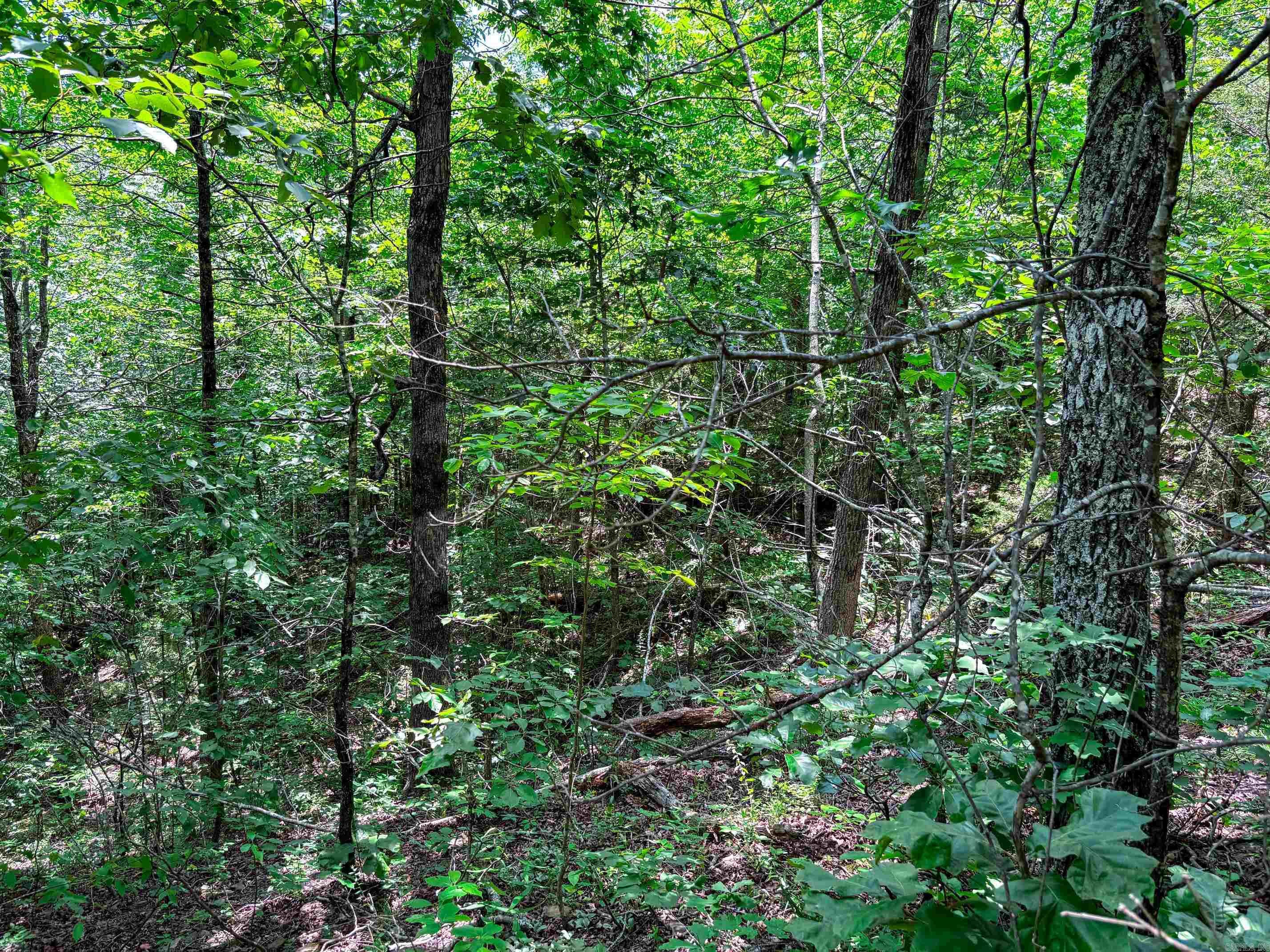 12018 Highway 254  Dennard, AR