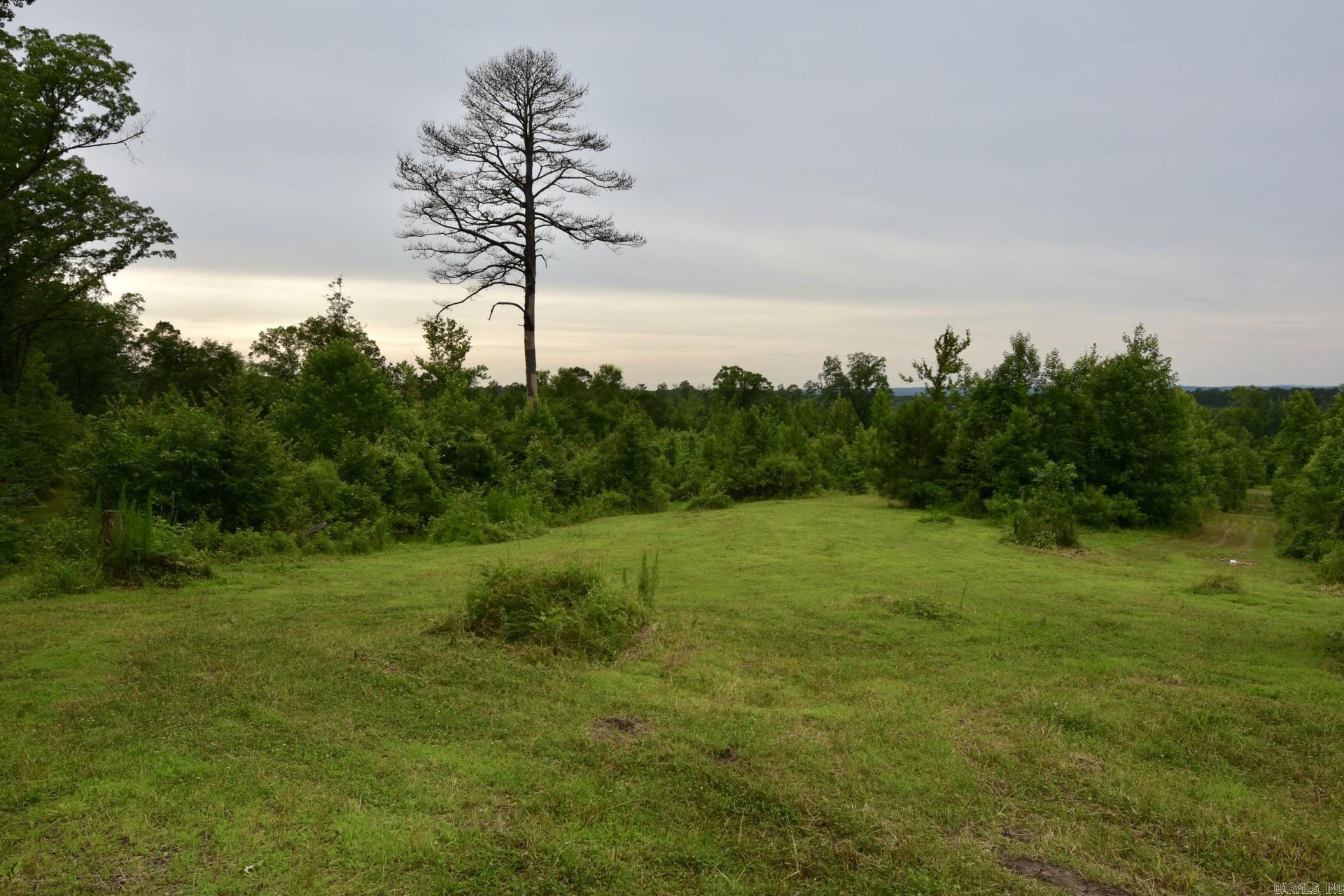 1442 Country Club  Arkadelphia, AR