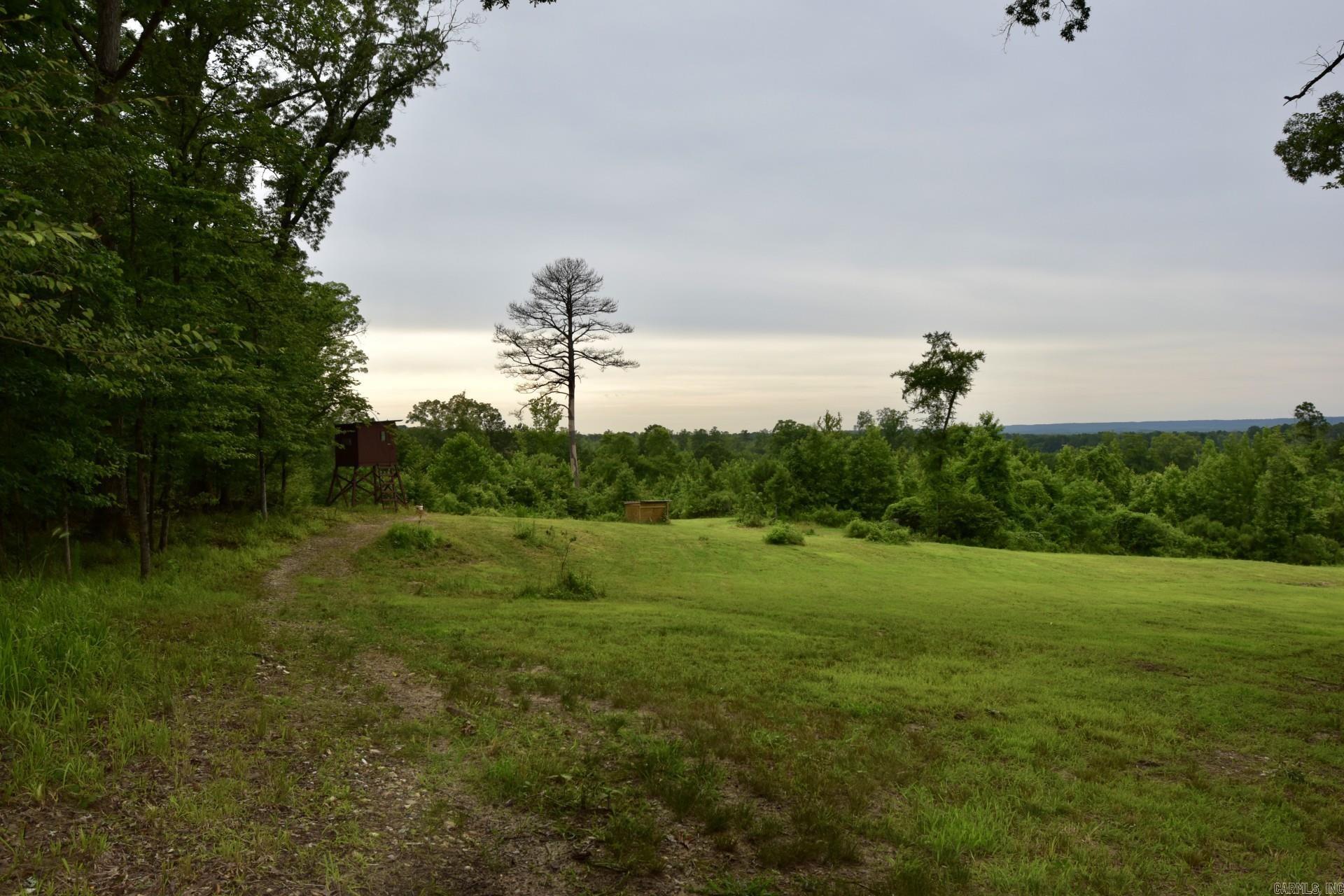 1442 Country Club  Arkadelphia, AR