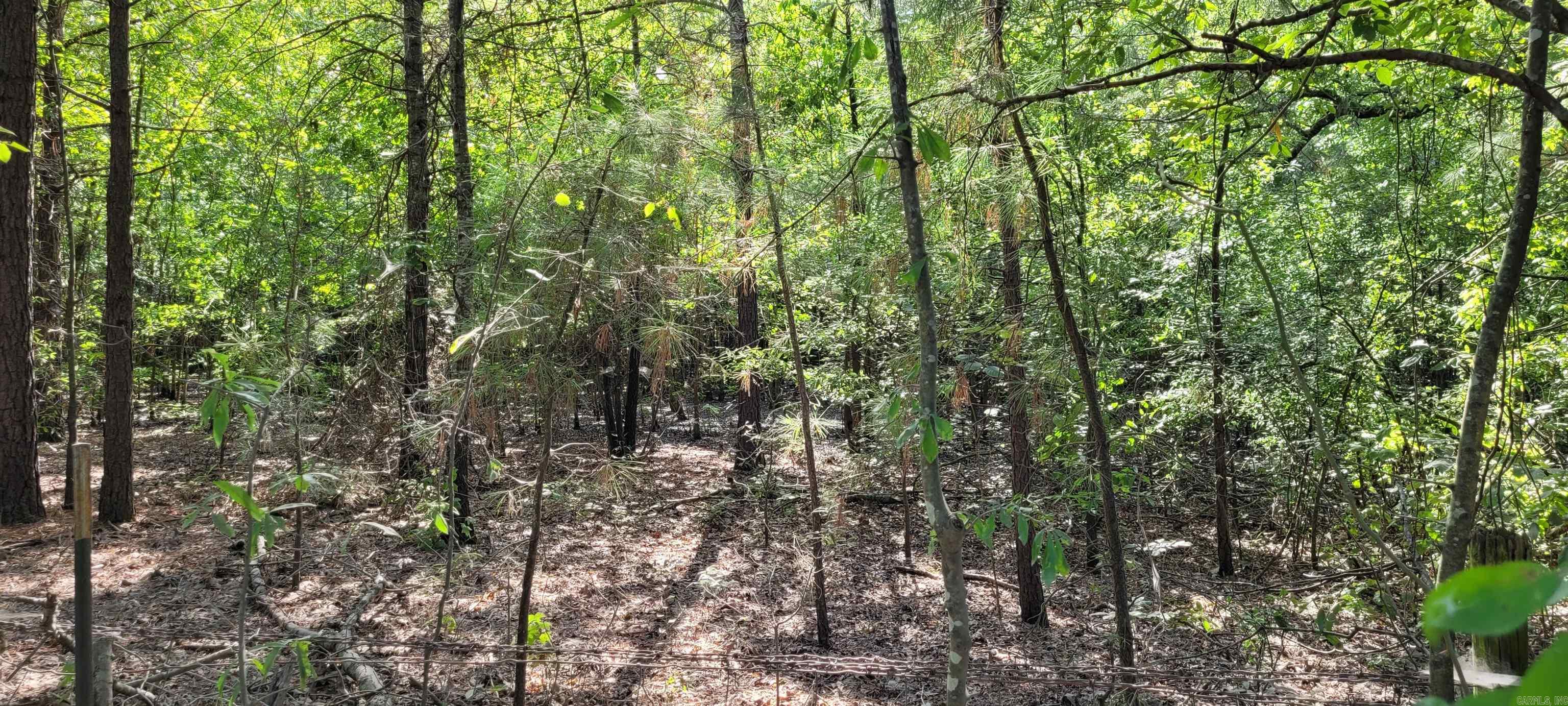  Woodruff 793  Grays, AR