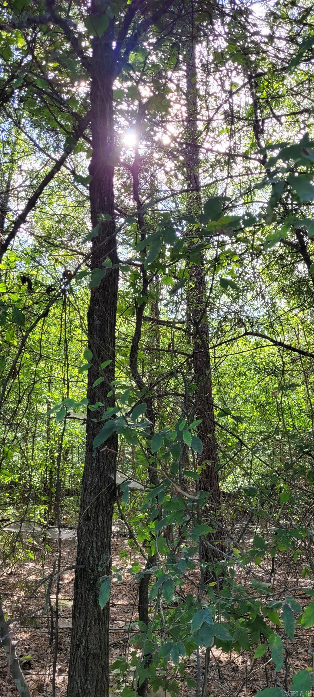  Woodruff 793  Grays, AR