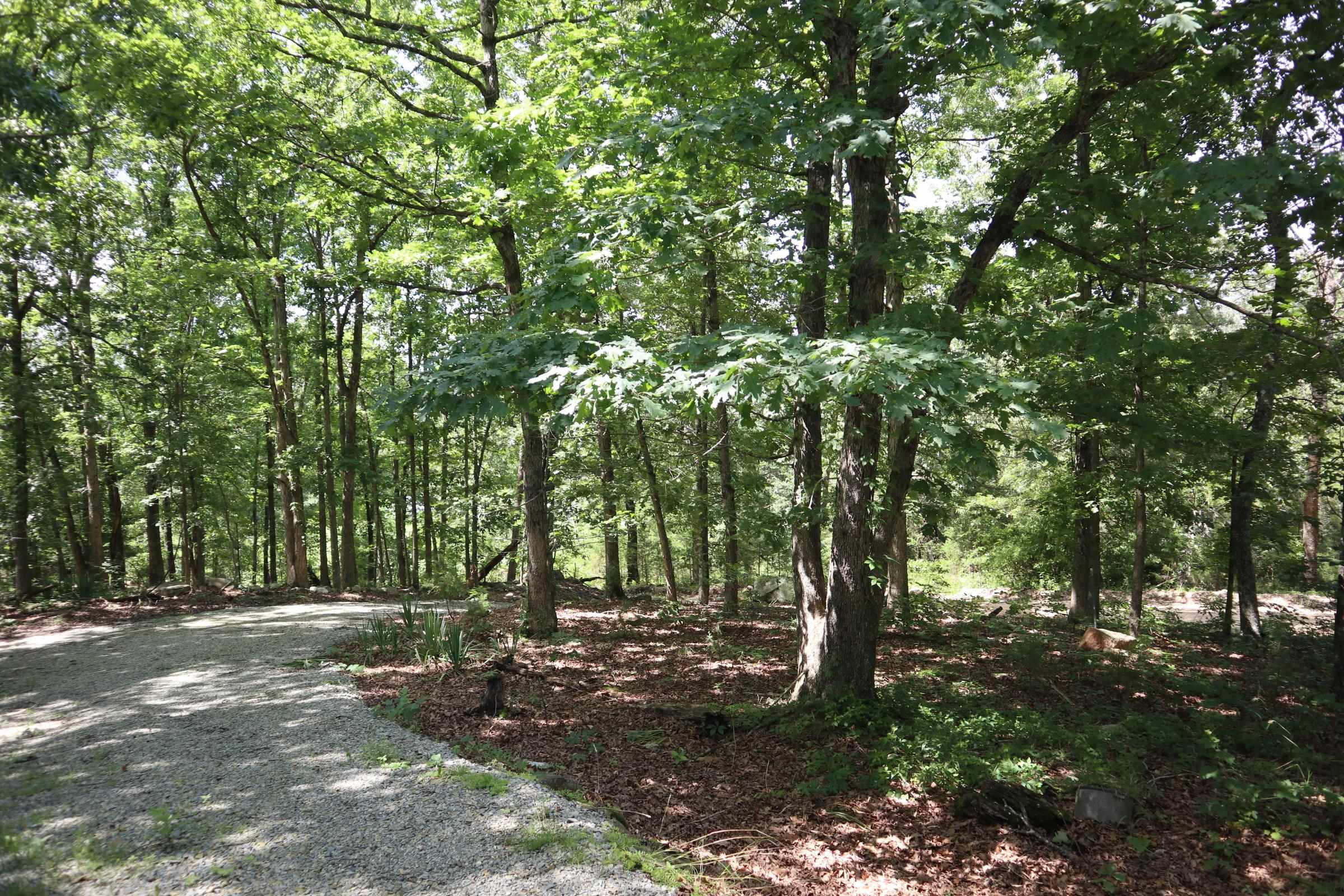 123 Greenbrook Trl  Salem, AR