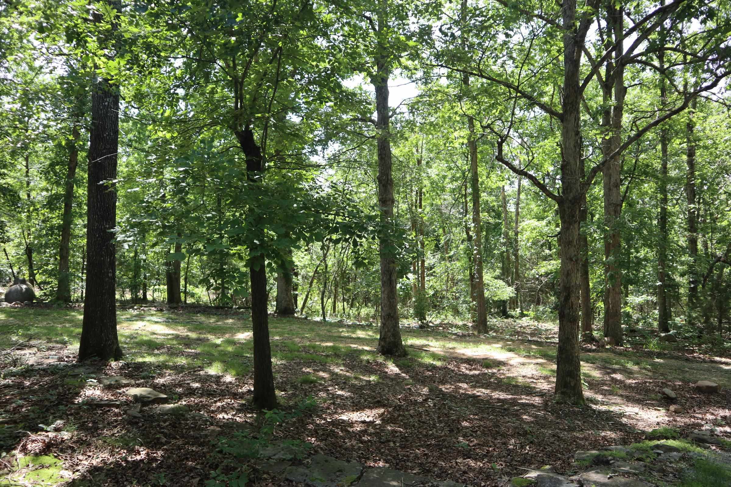 123 Greenbrook Trl  Salem, AR