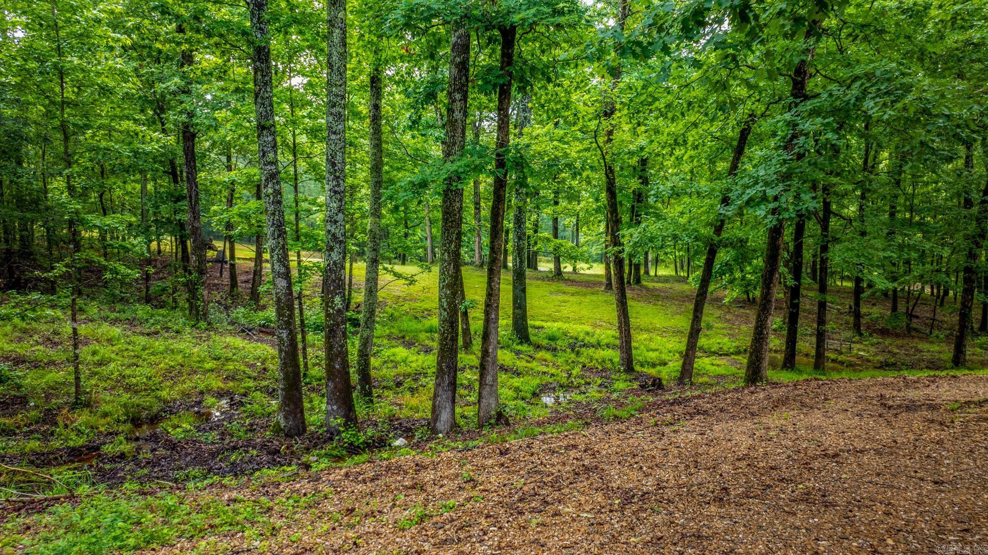 2110 Brush Mountain  Paron, AR