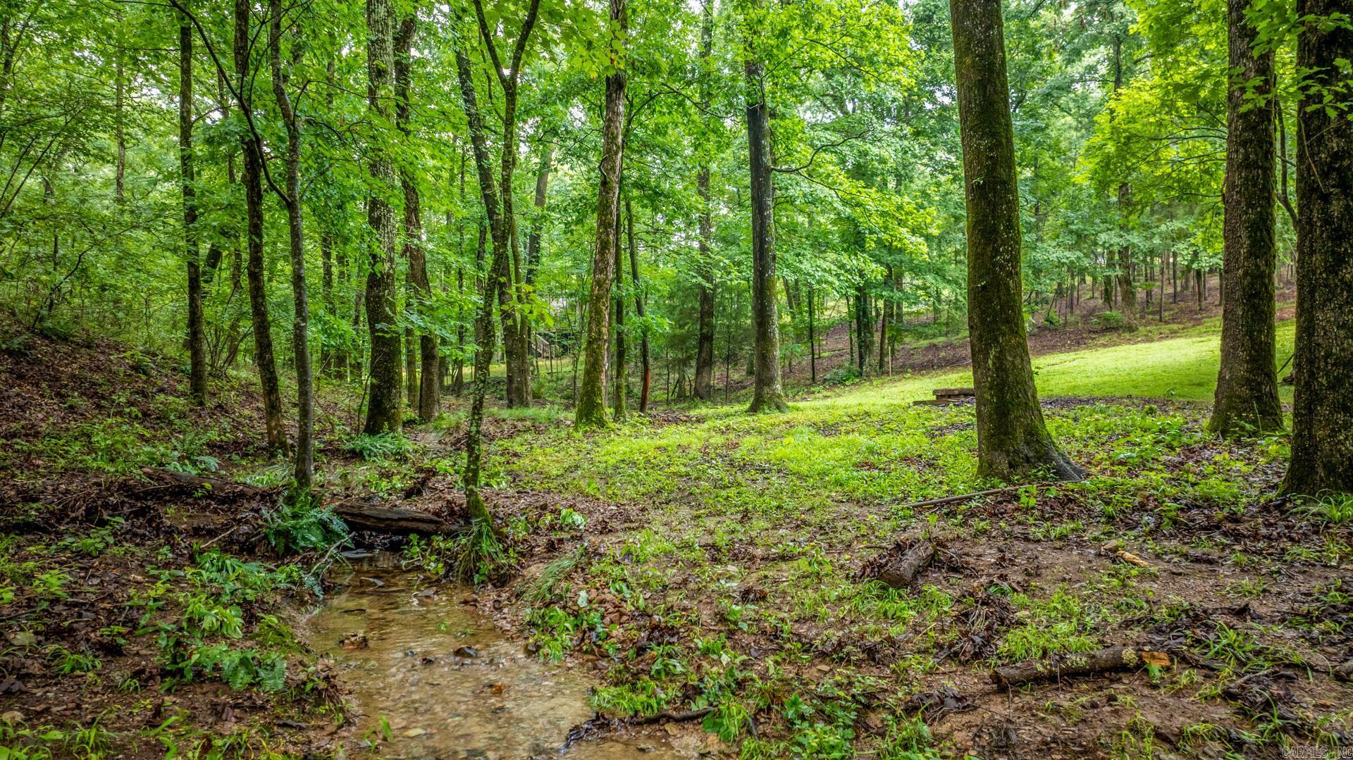 2110 Brush Mountain  Paron, AR