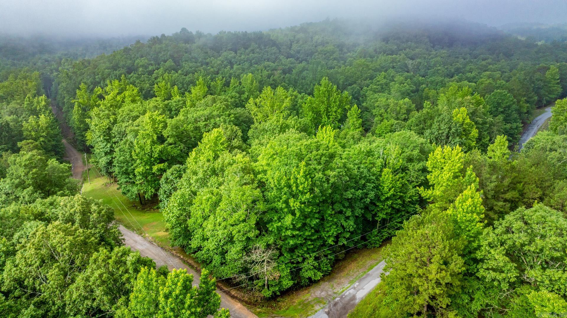 2110 Brush Mountain  Paron, AR