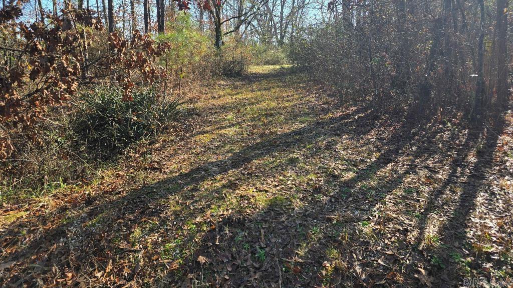 162 Ellison  Rison, AR
