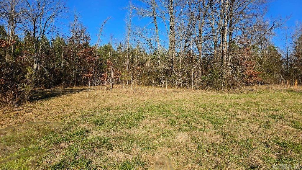 162 Ellison  Rison, AR