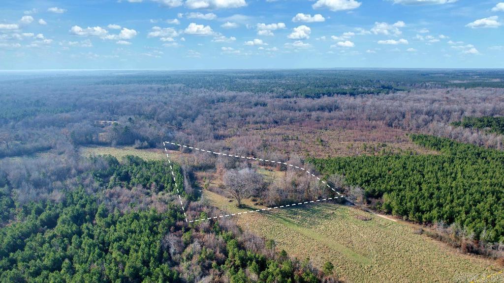 162 Ellison  Rison, AR